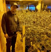 Winery And Grow