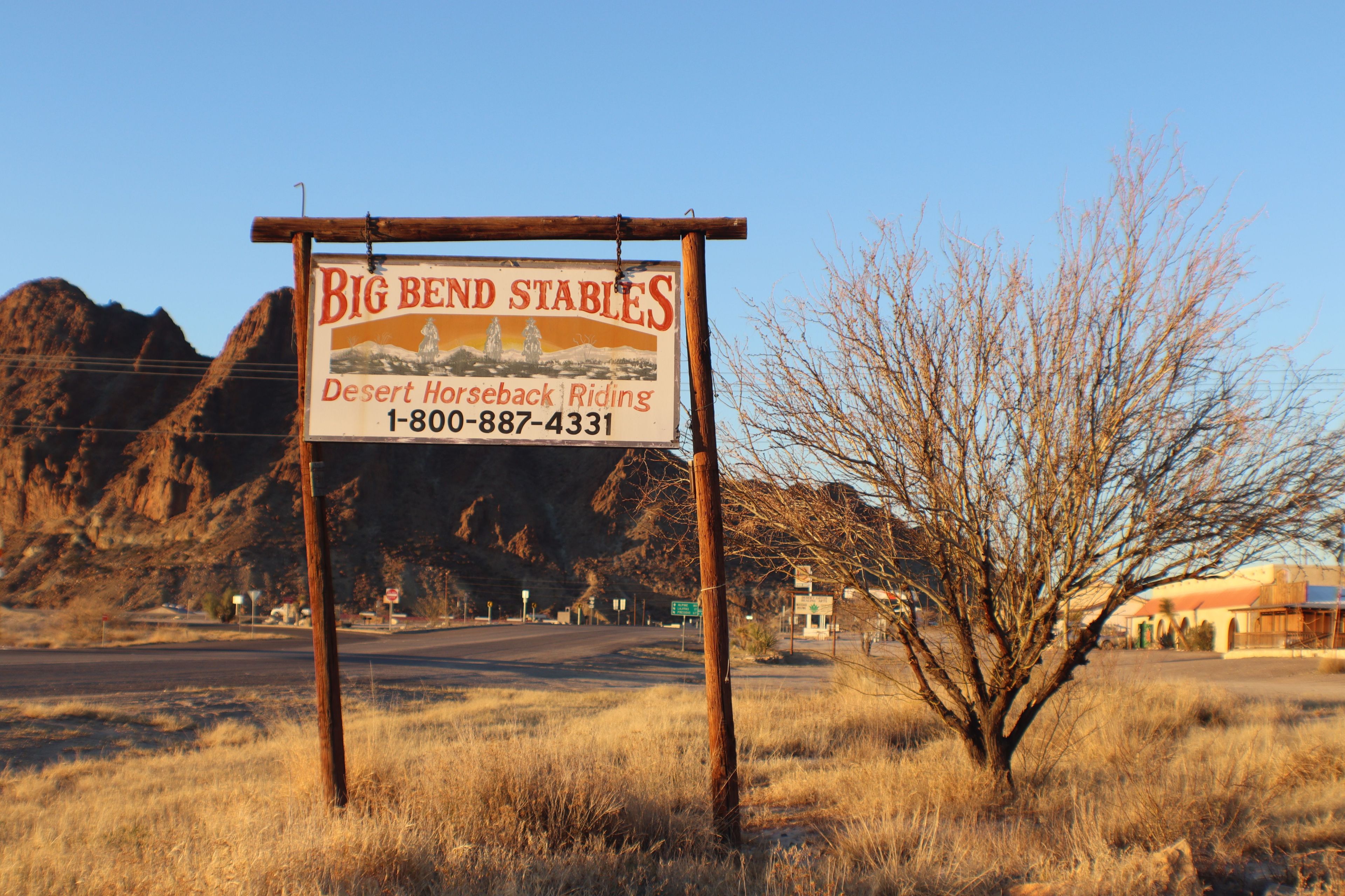 Family-Friendly & Relaxed Trail Rides