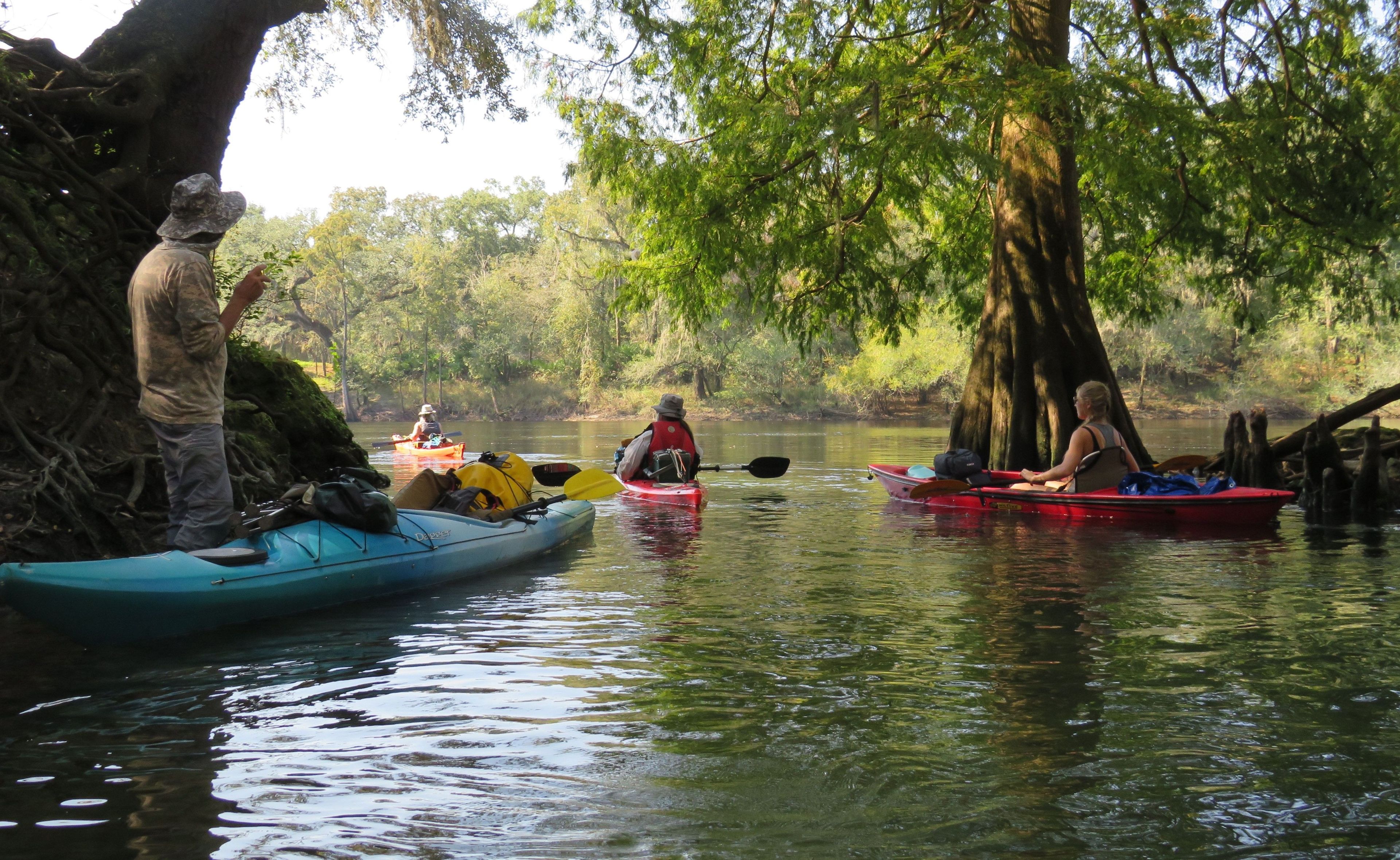 Kayak Expedition Trips
