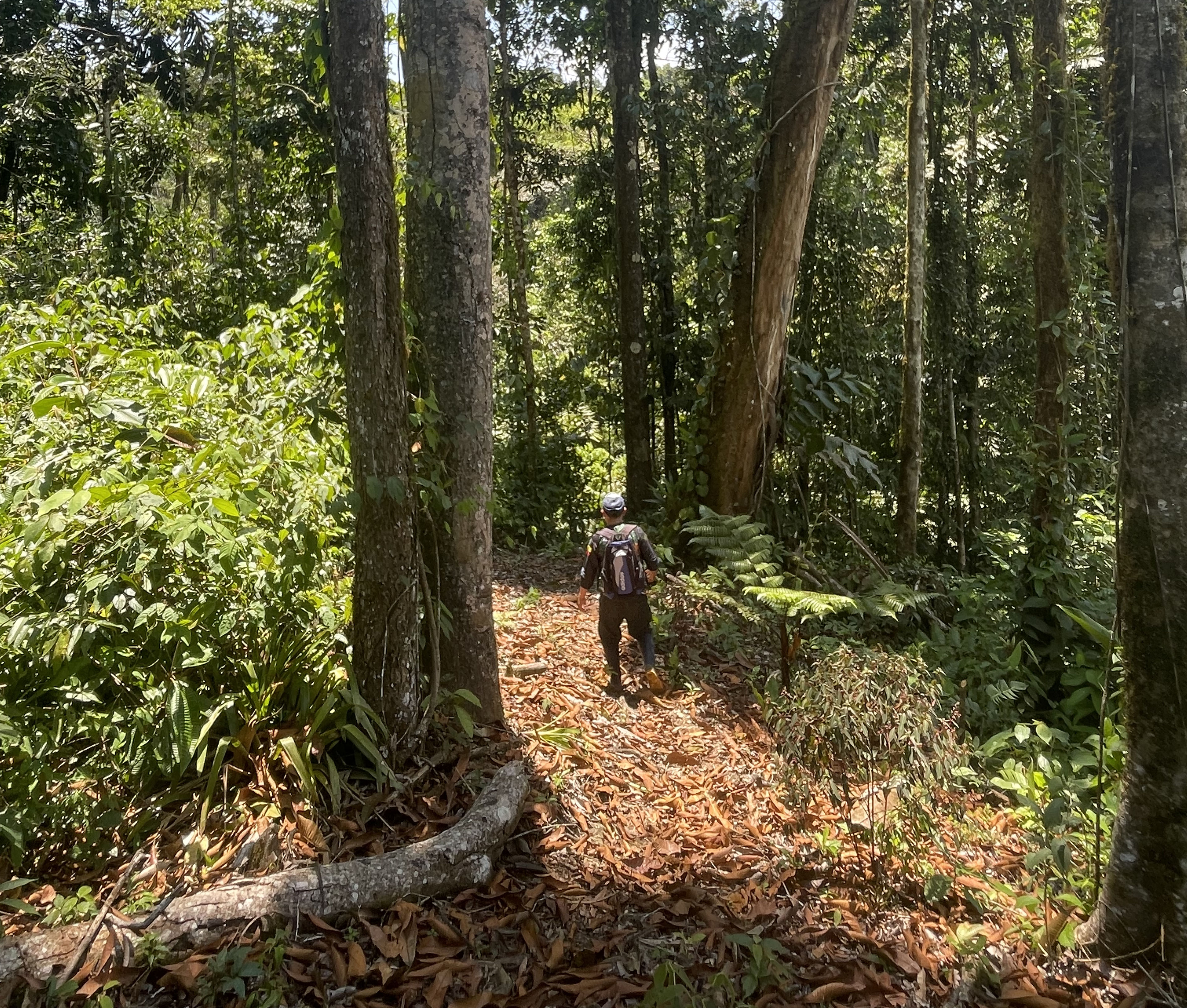 Flexible Trip Options for Every Adventurer