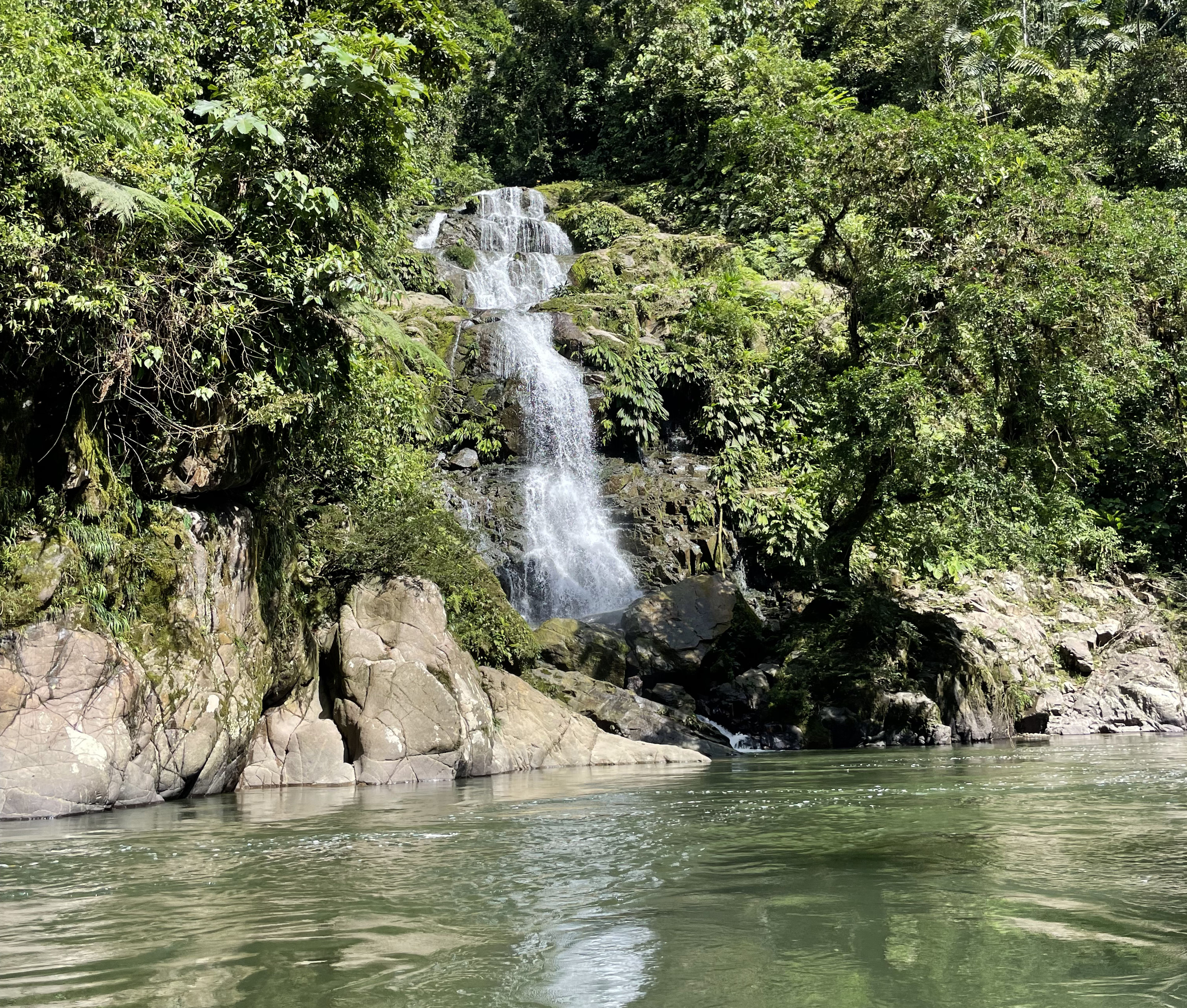 Authentic Amazon Experience