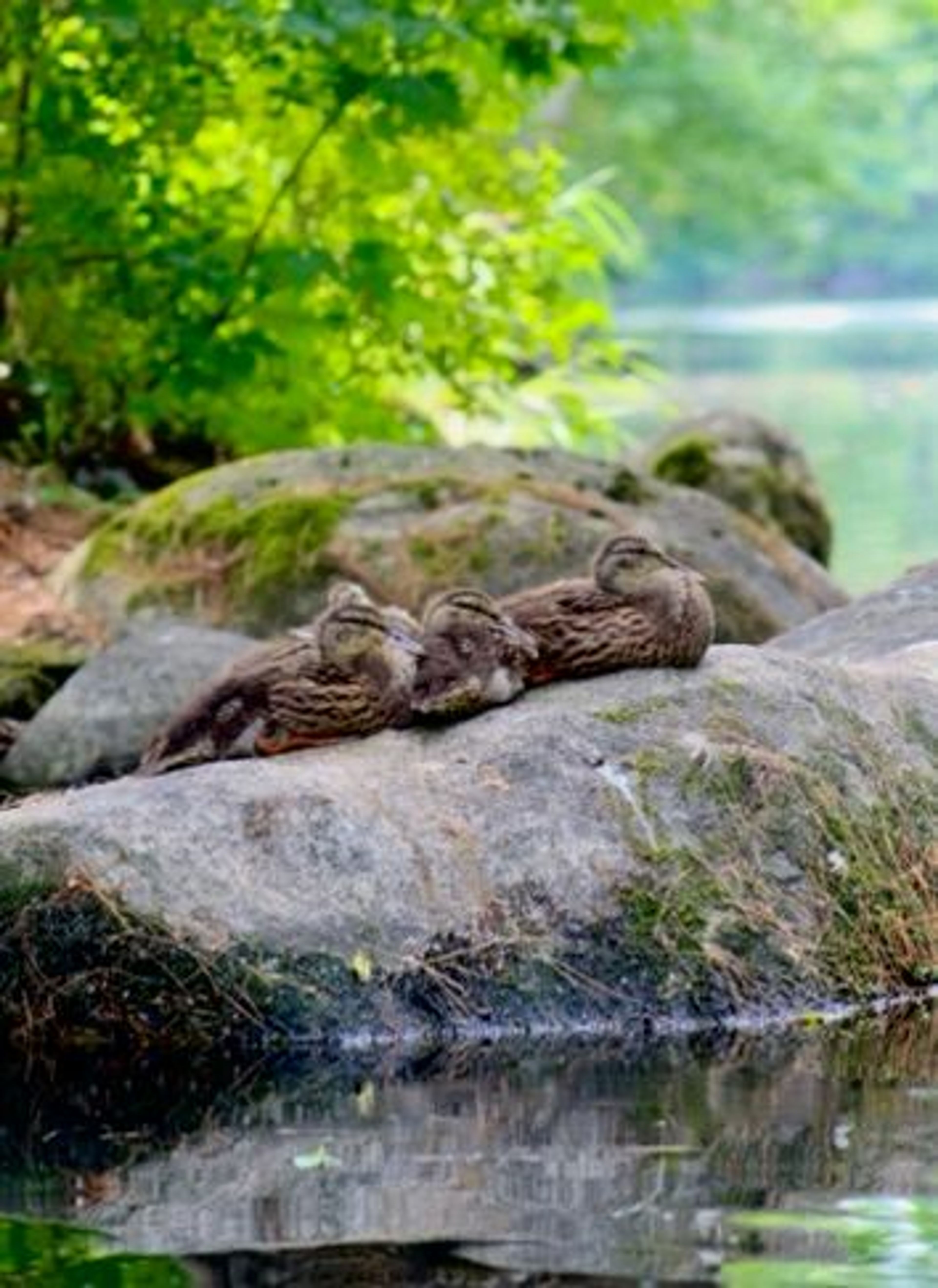 Connect with Nature & History