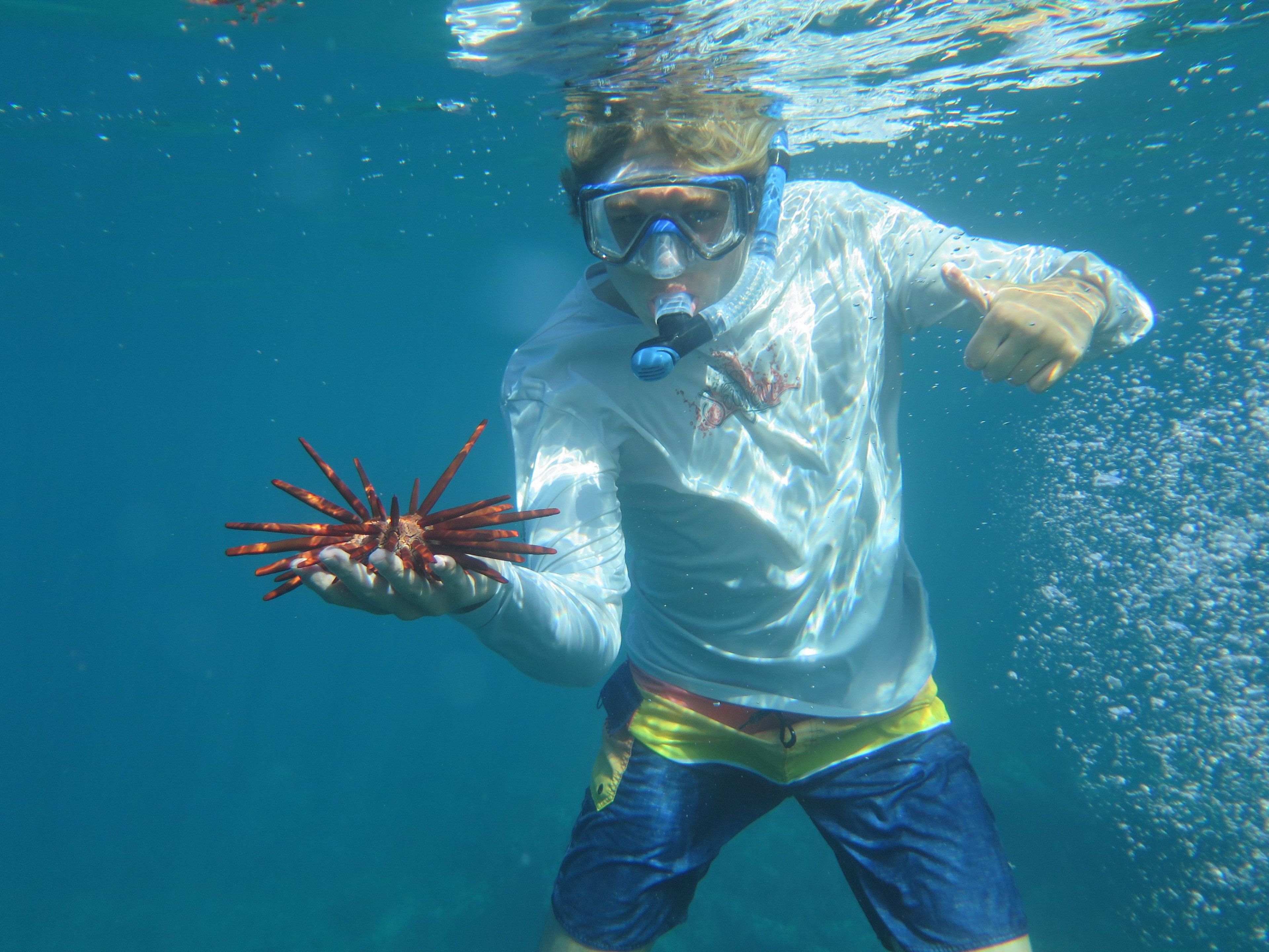 Private Snorkel Tours