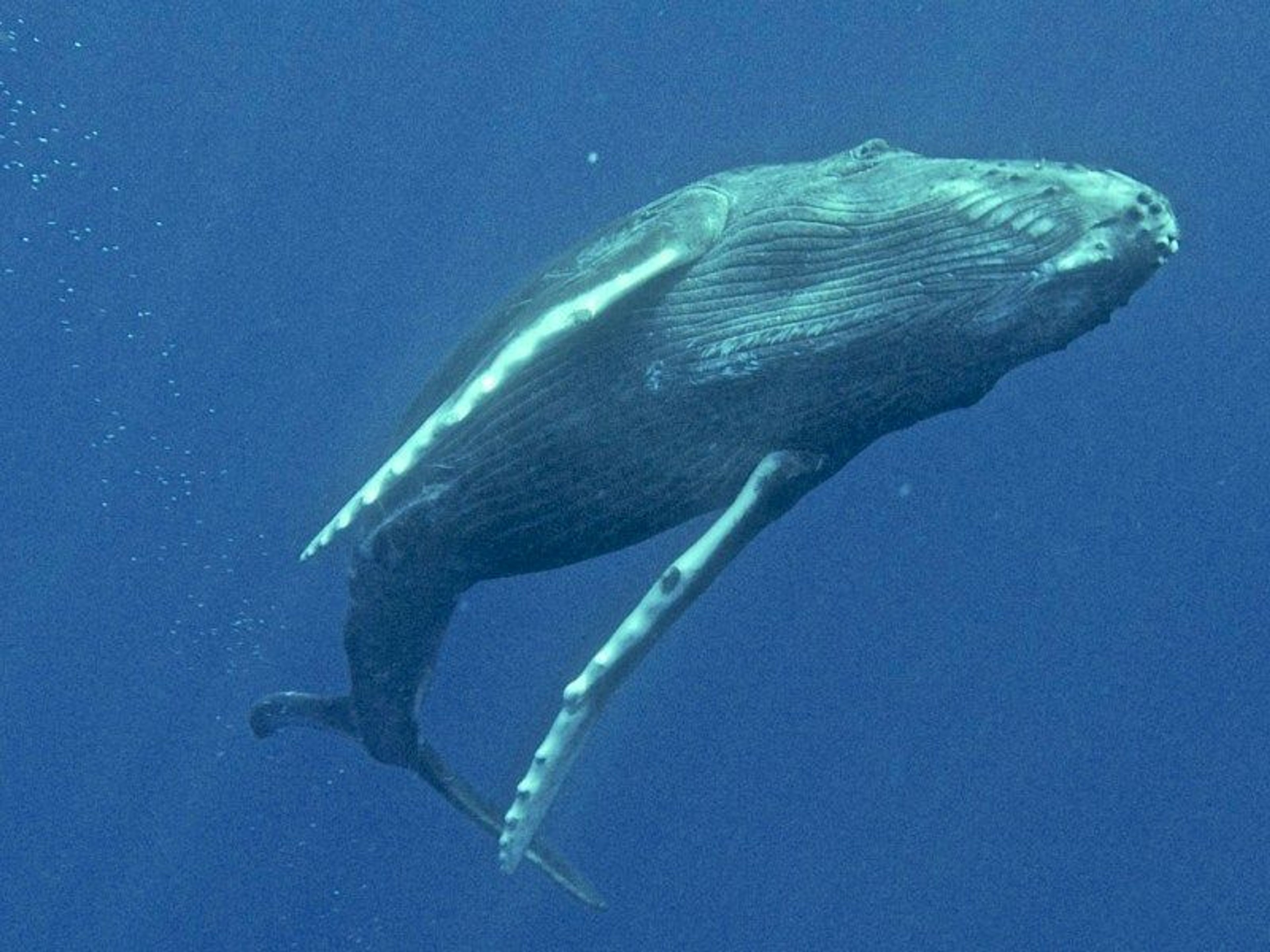 On-Ocean Photography