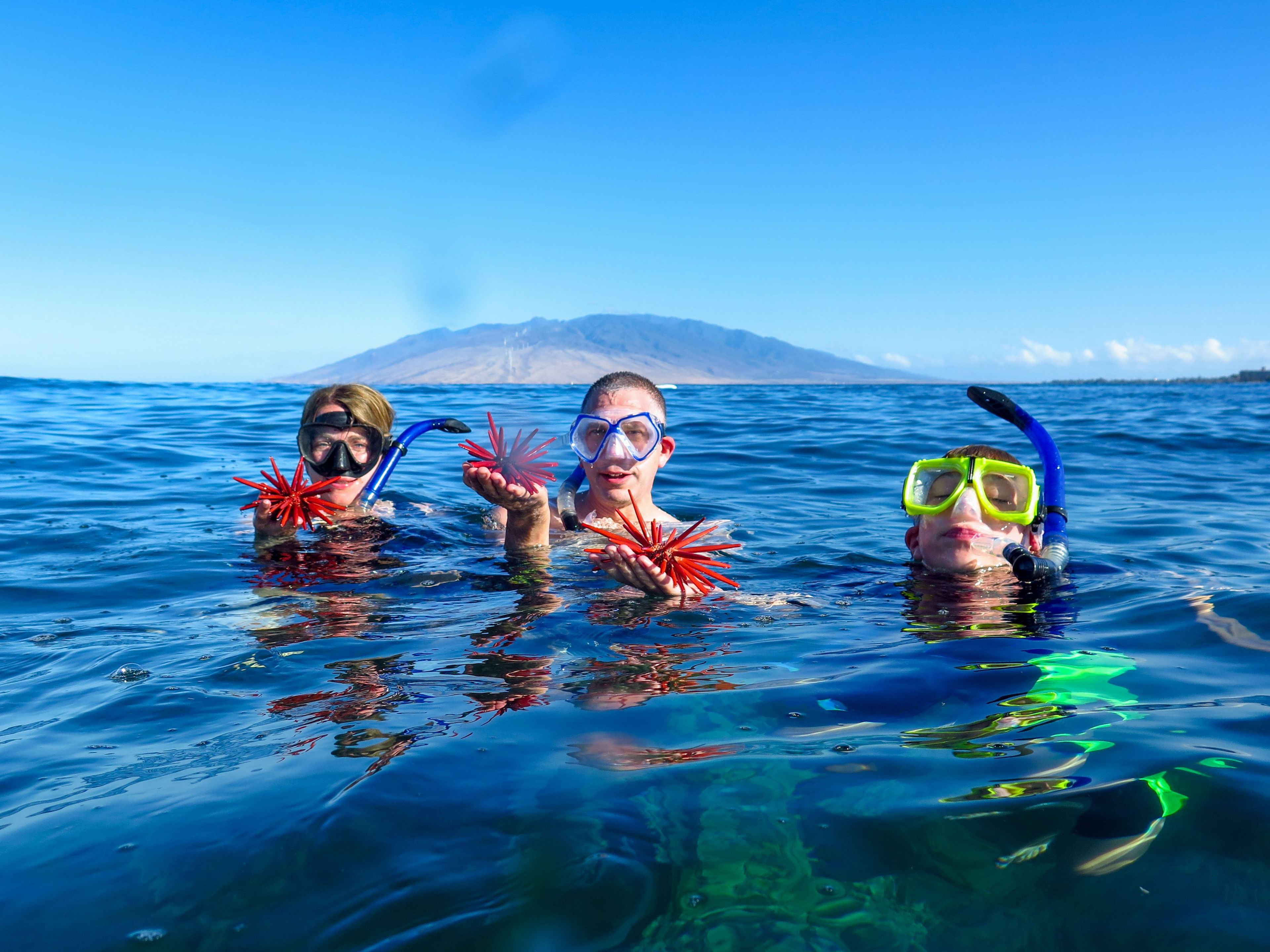 Kayak, Paddleboard or Snorkel Only!