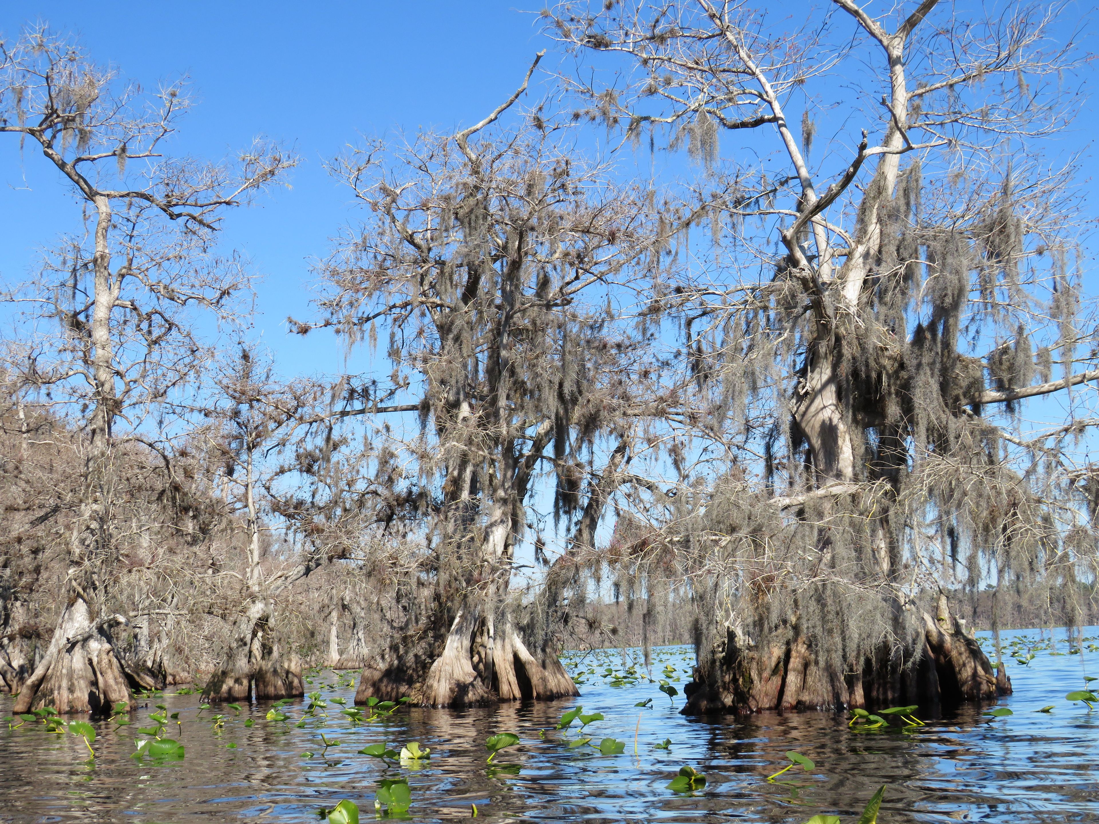 Hiking Tours in Orlando, Florida
