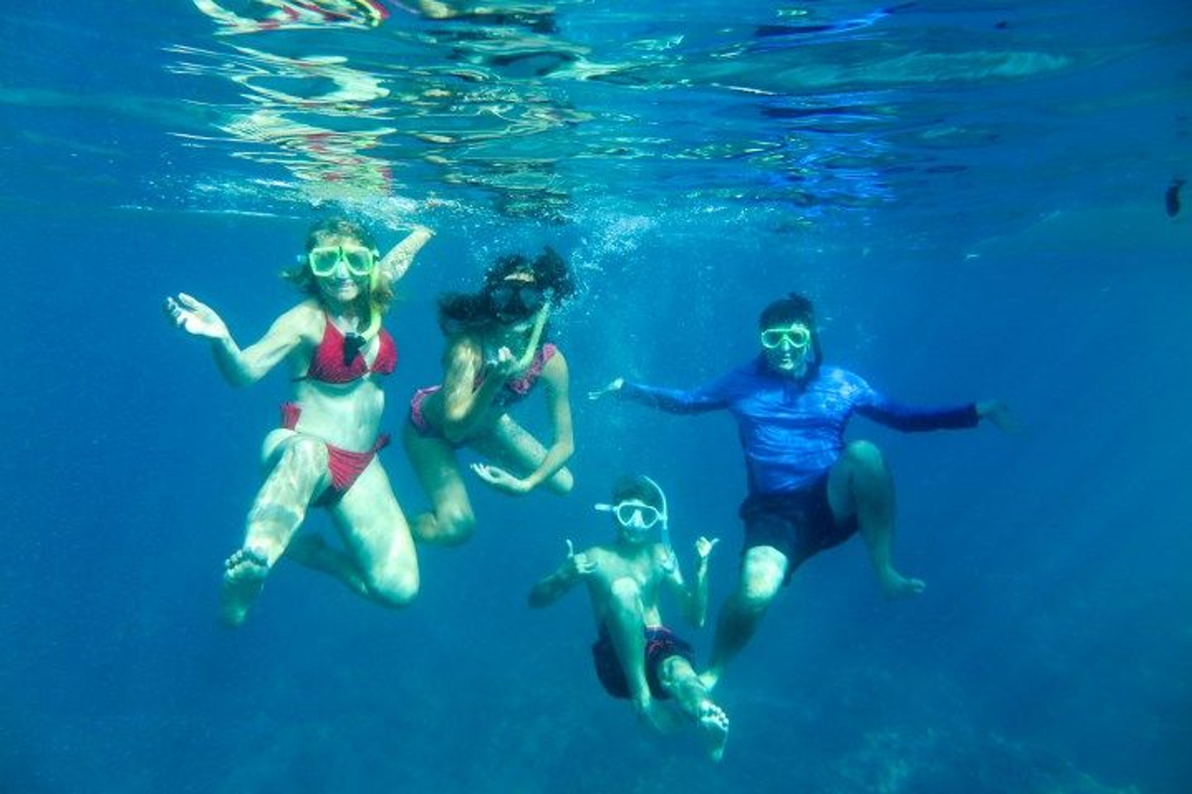 SUP "Turtle Town" Snorkel! Private Tour - Image 3