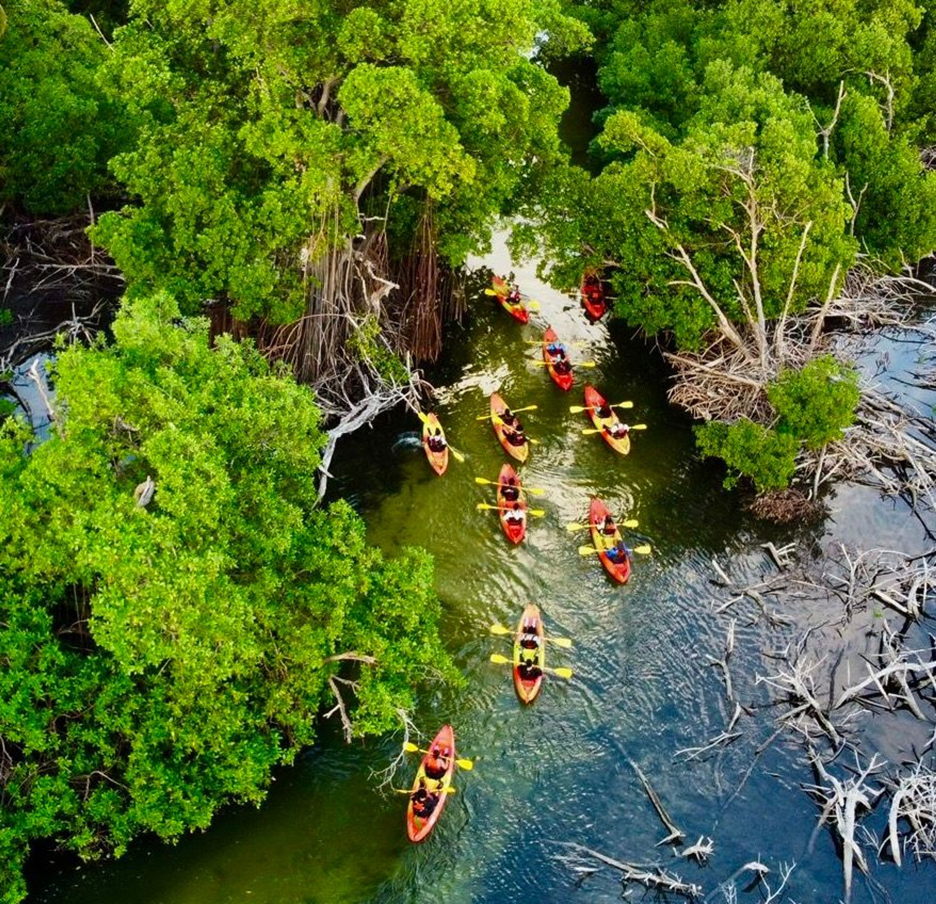 Full Moon Kayak Adventure - Image 3