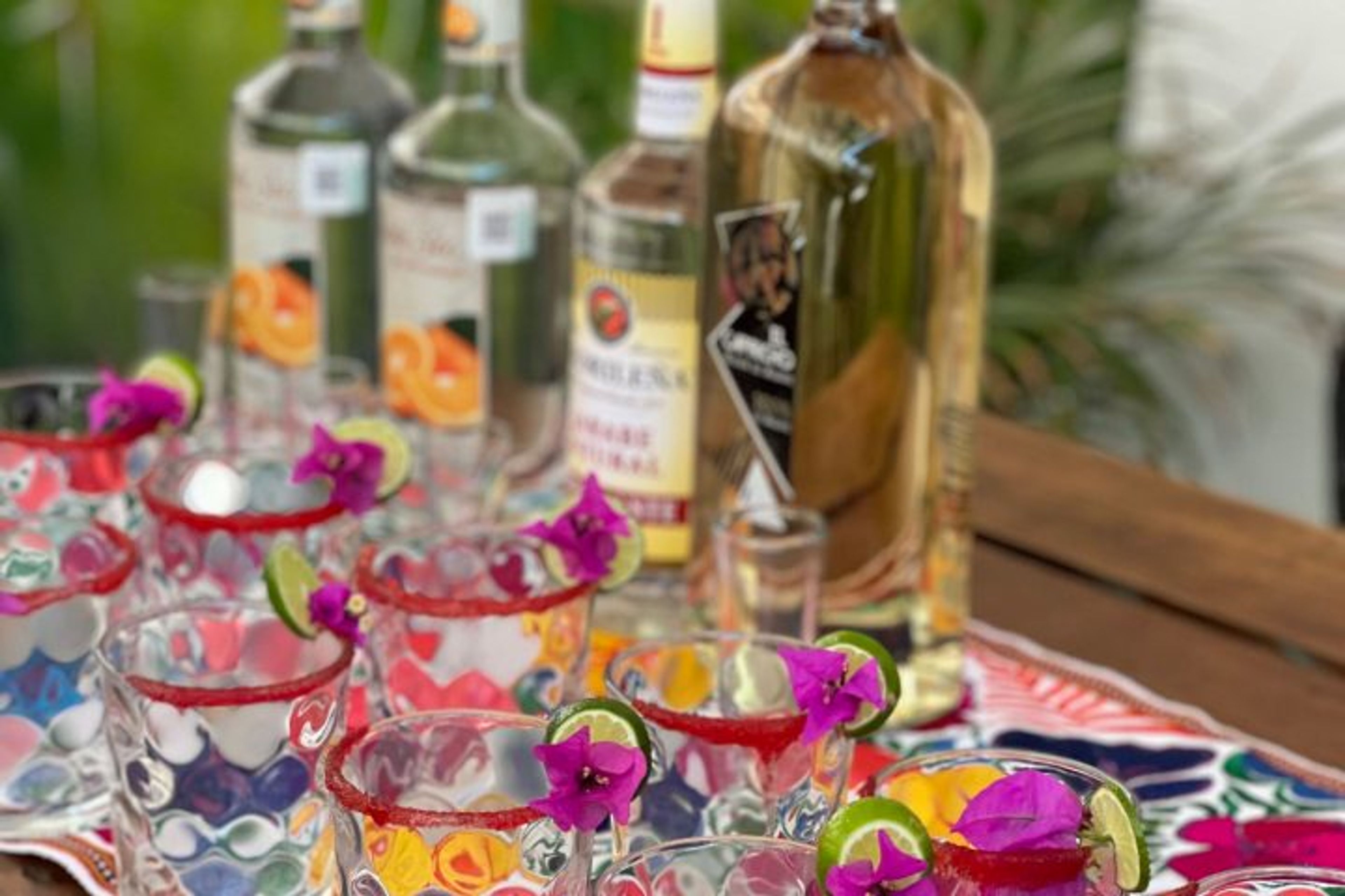 Cabo San Lucas Mixology, Tacos and Tequila Walking Tour - Image 4