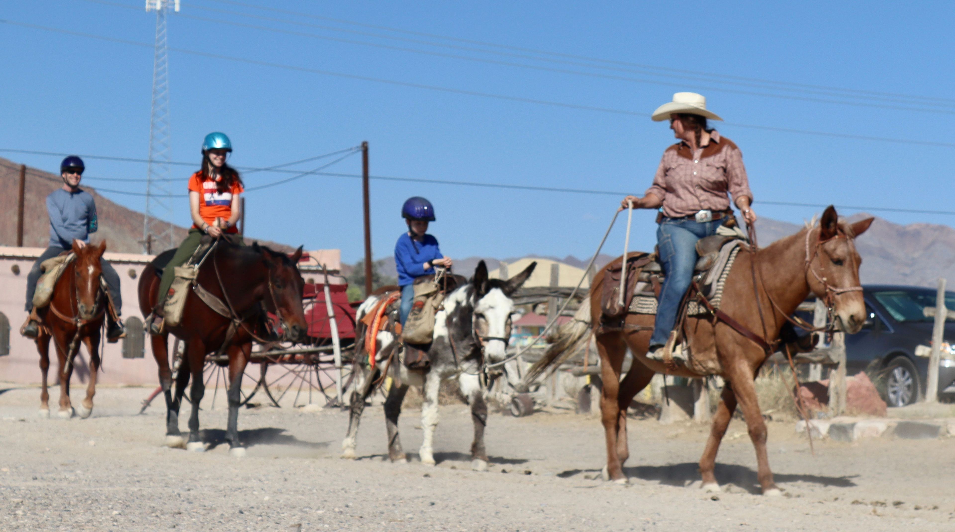 Relaxed & Family-Friendly Trails (Big Bend Stables)