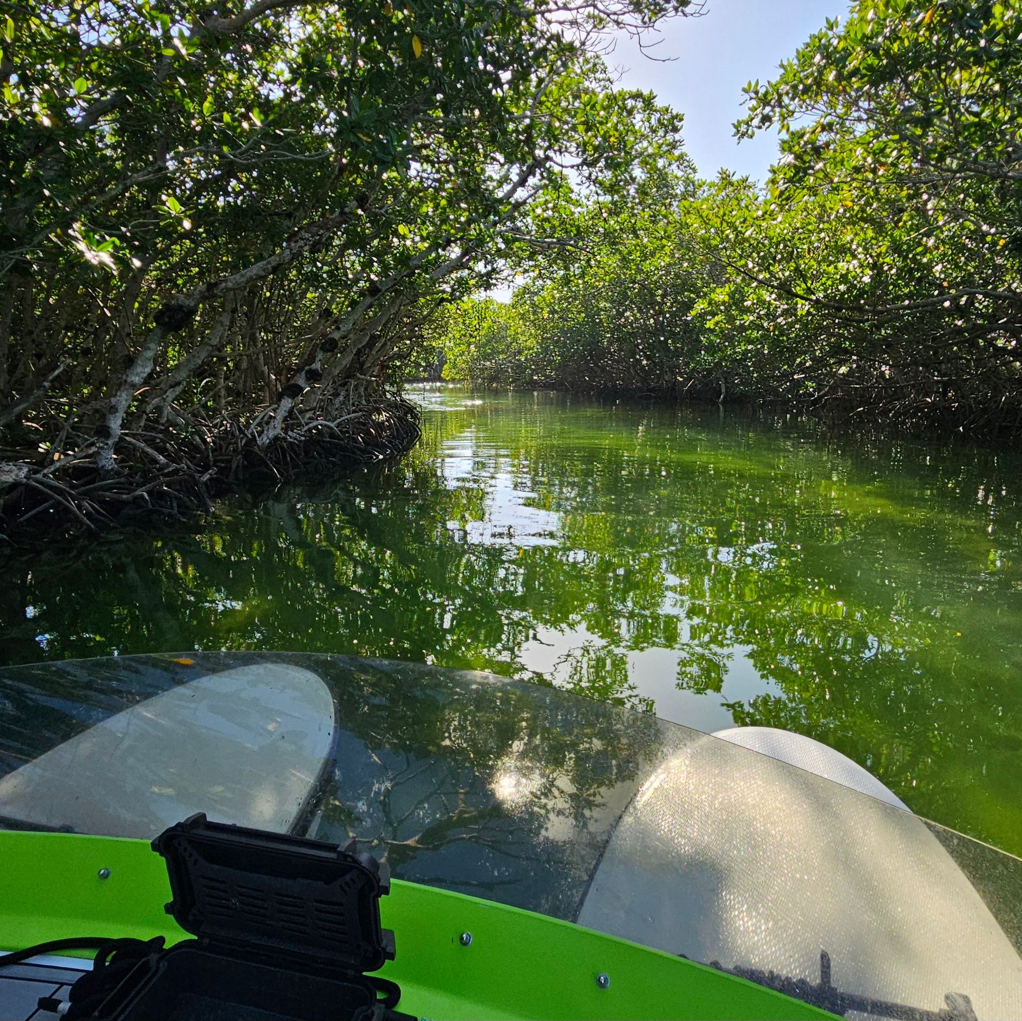 Islamorada Mangrove Tunnels on a Catboat