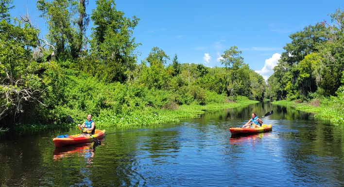 kayak memberships