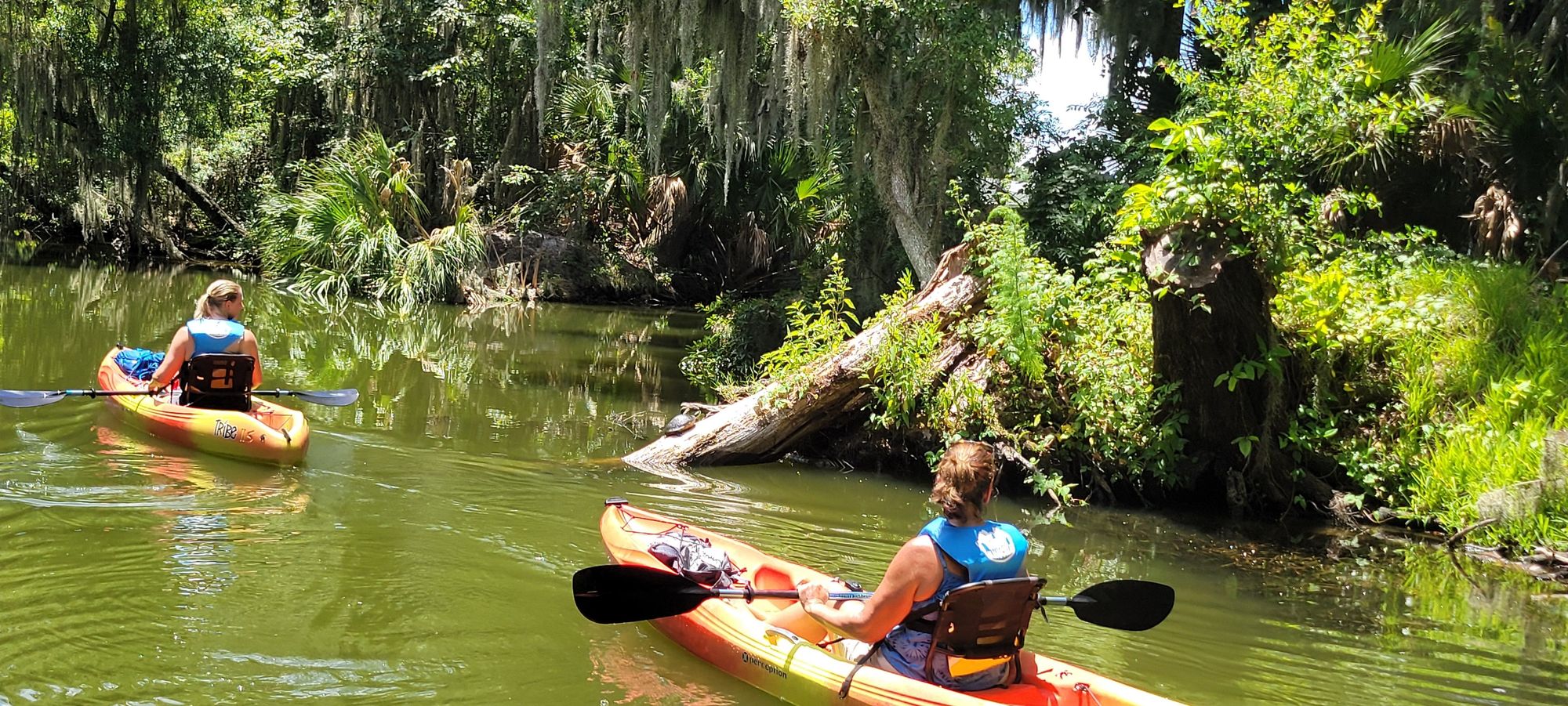 Kayakers spotting wildlife along the Dora Canal, one of Florida’s hidden gems.