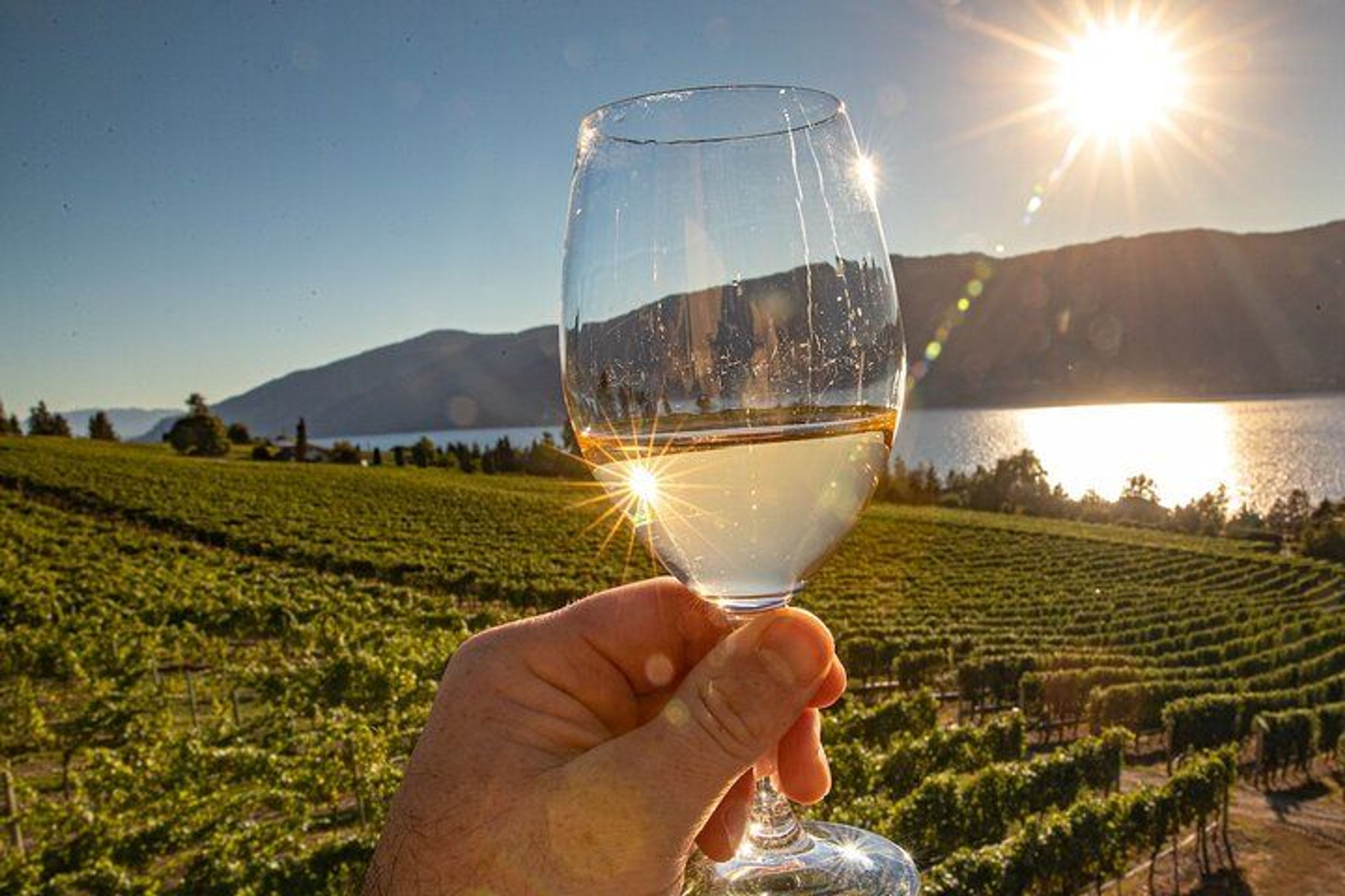Winery Relationships