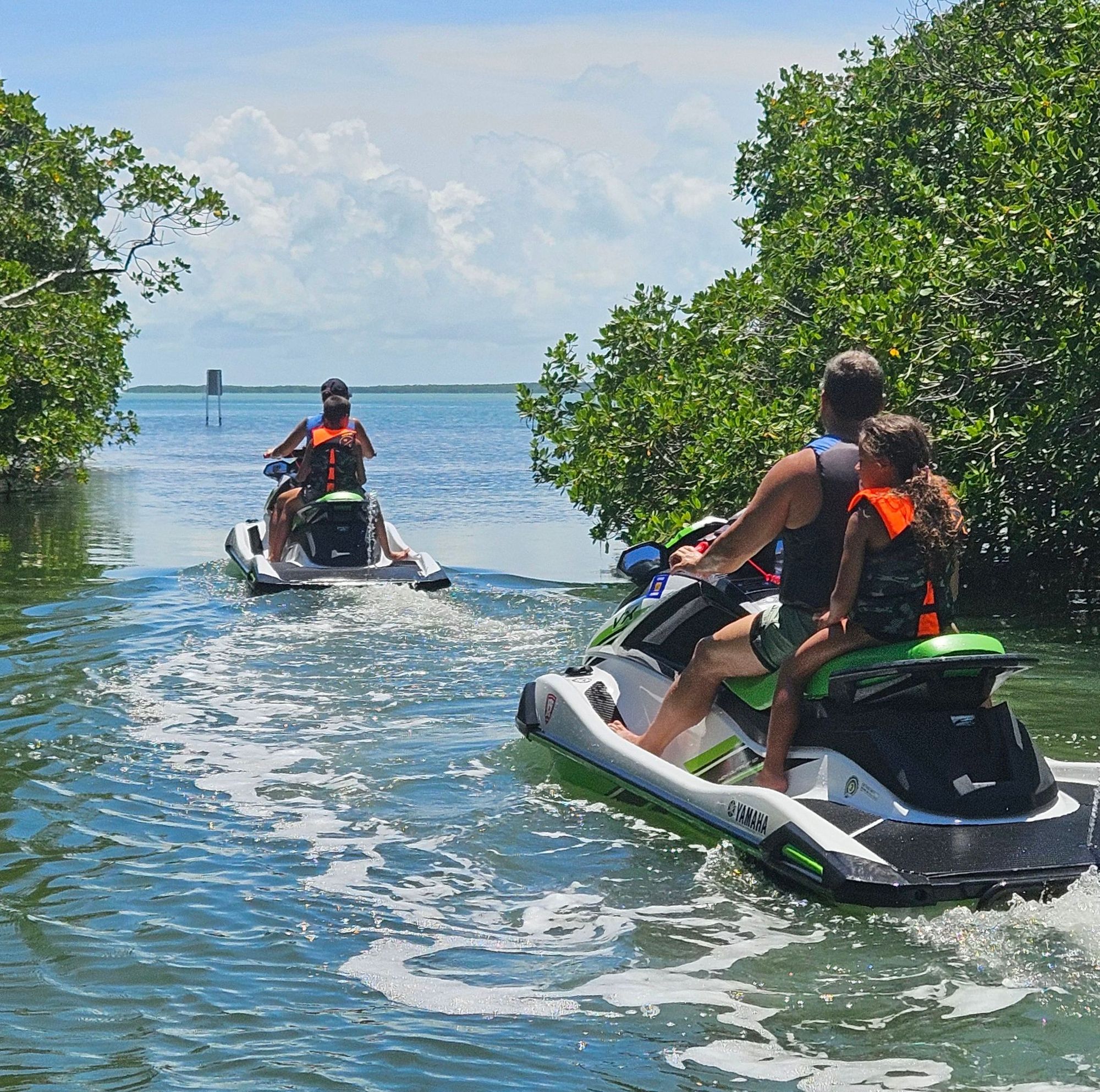 Mangrove Tour Jet Ski Islamorada
