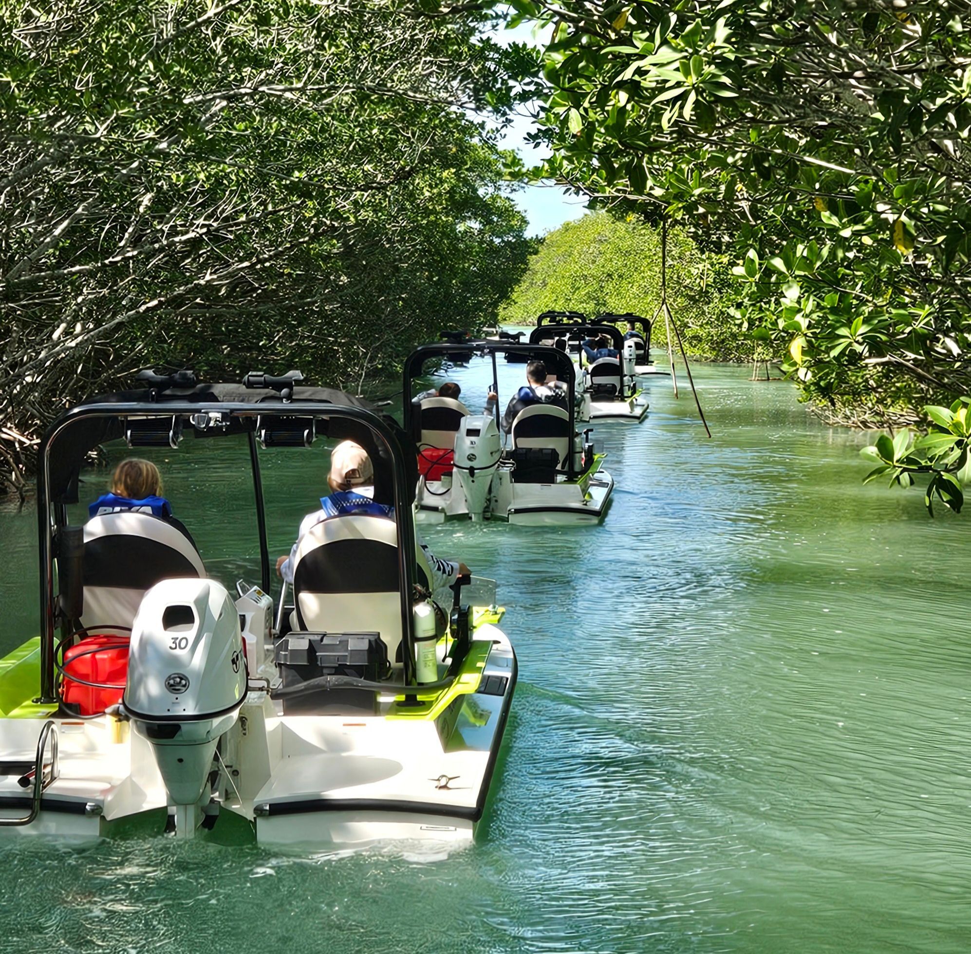 Mangrove Tunnels on Islamorada Catboat Tour
