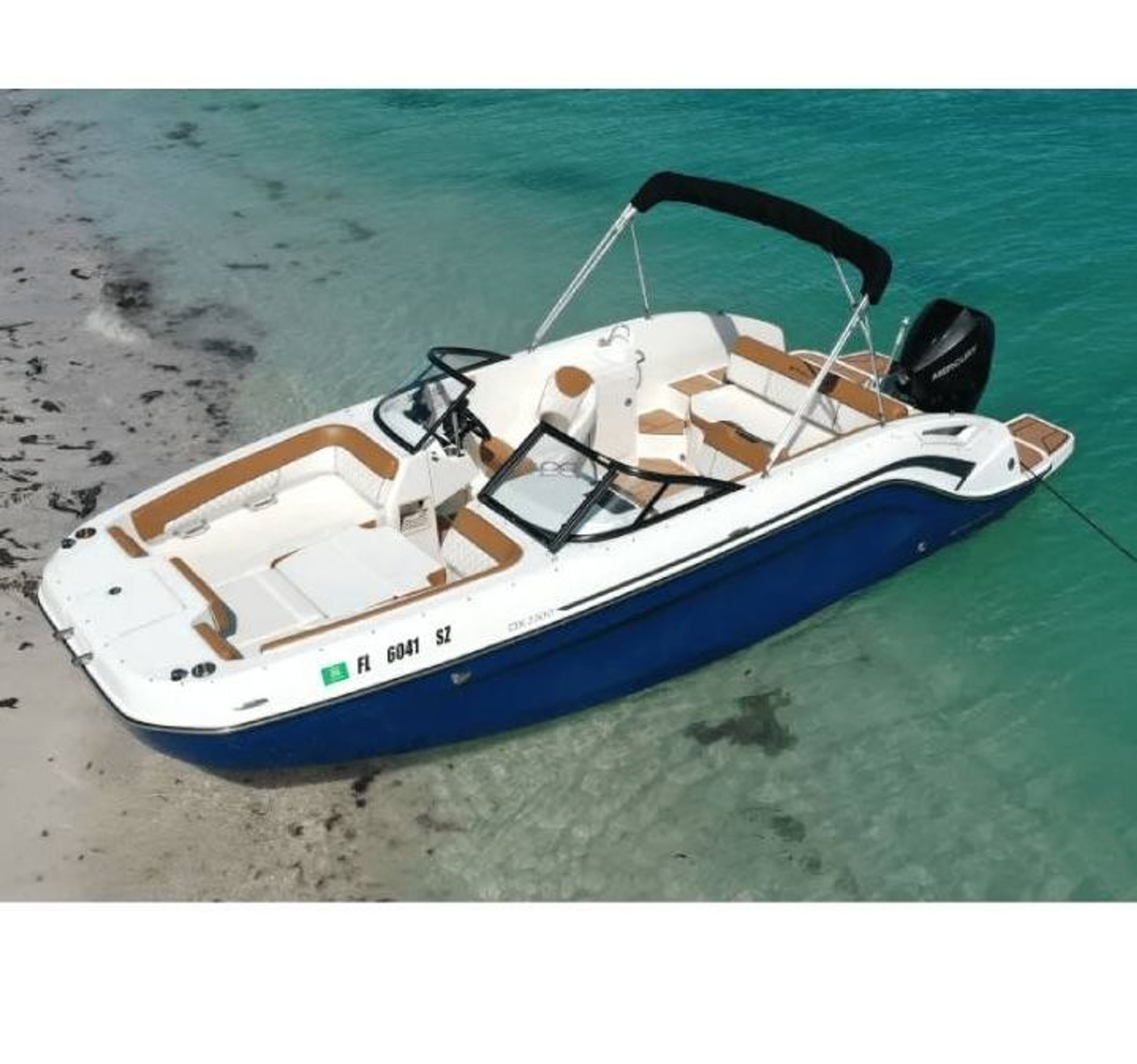 Big Blue Bayliner 22' DX2200 Deck Boat (AMI) - Image 1