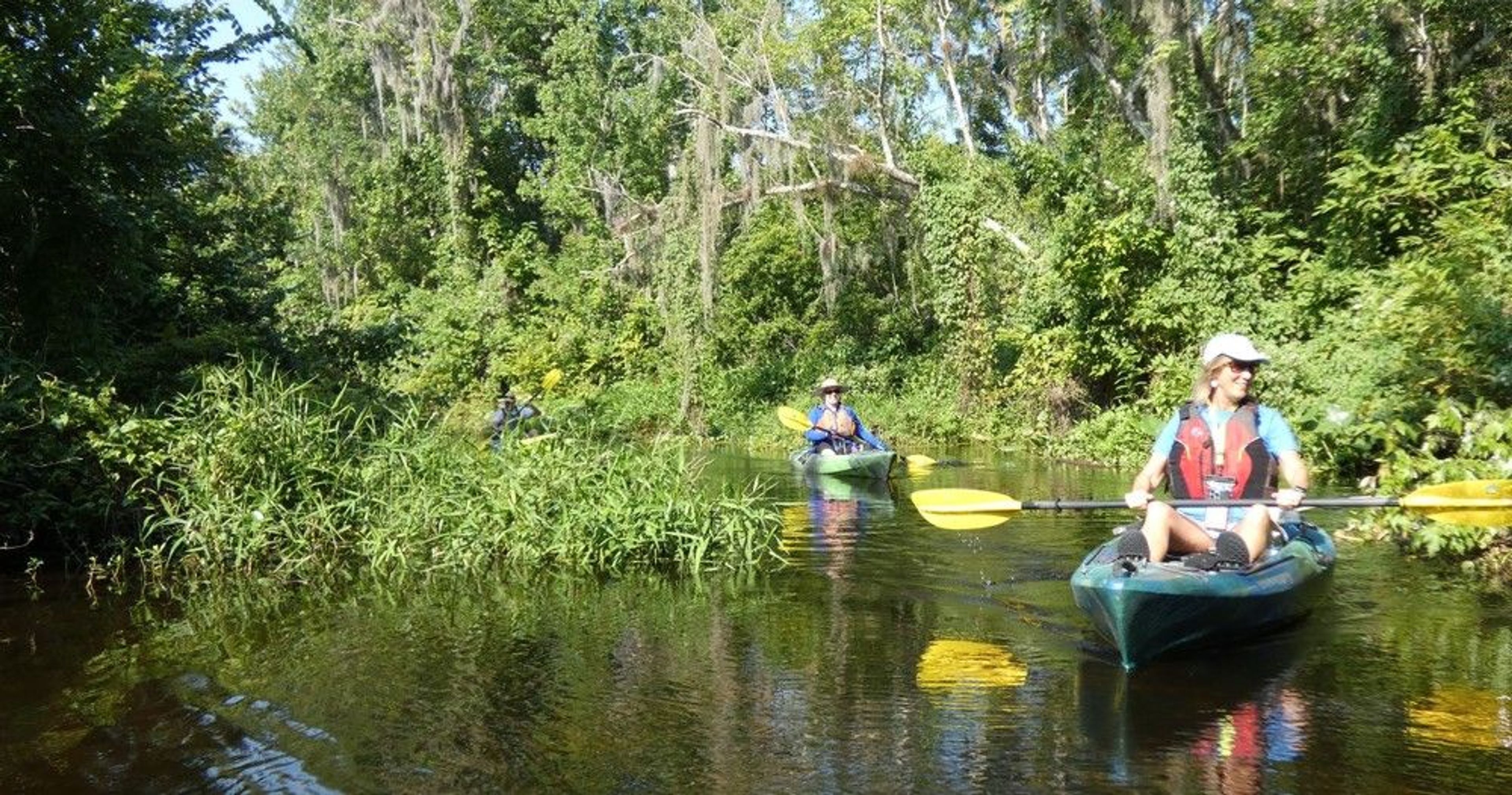Wekiva River Kayak Explorer - Image 3