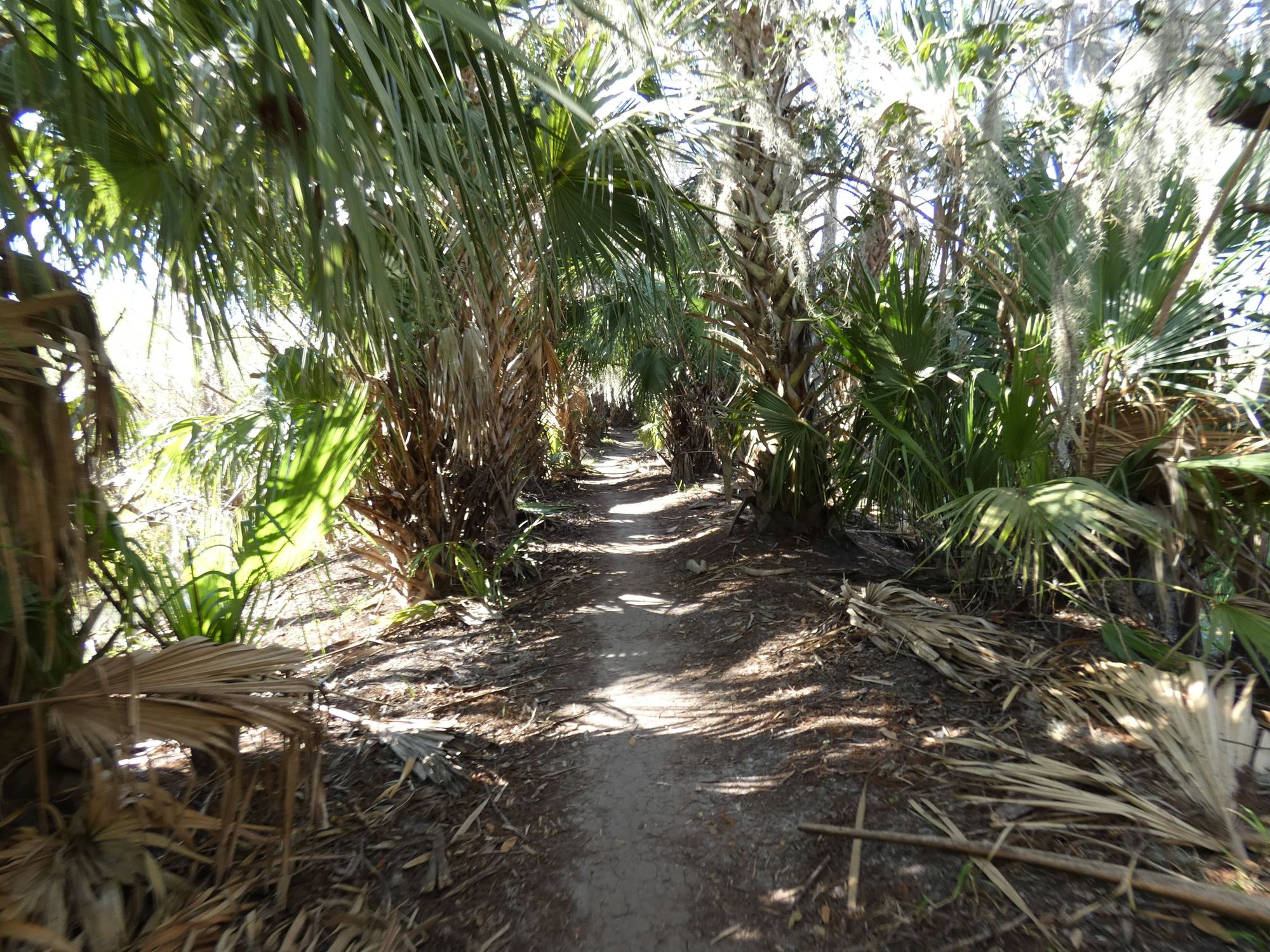 The rugged terrain of the path.