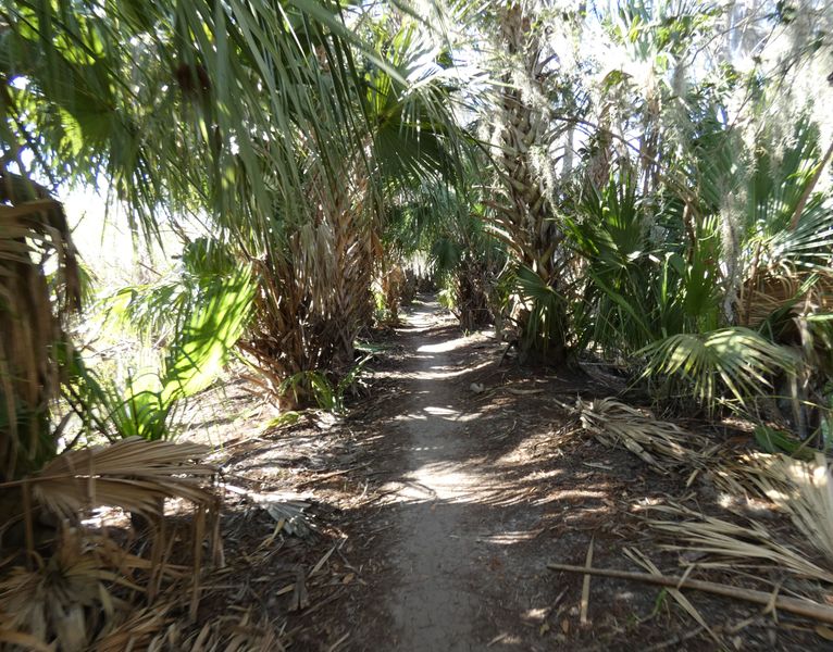 The rugged terrain of the path.
