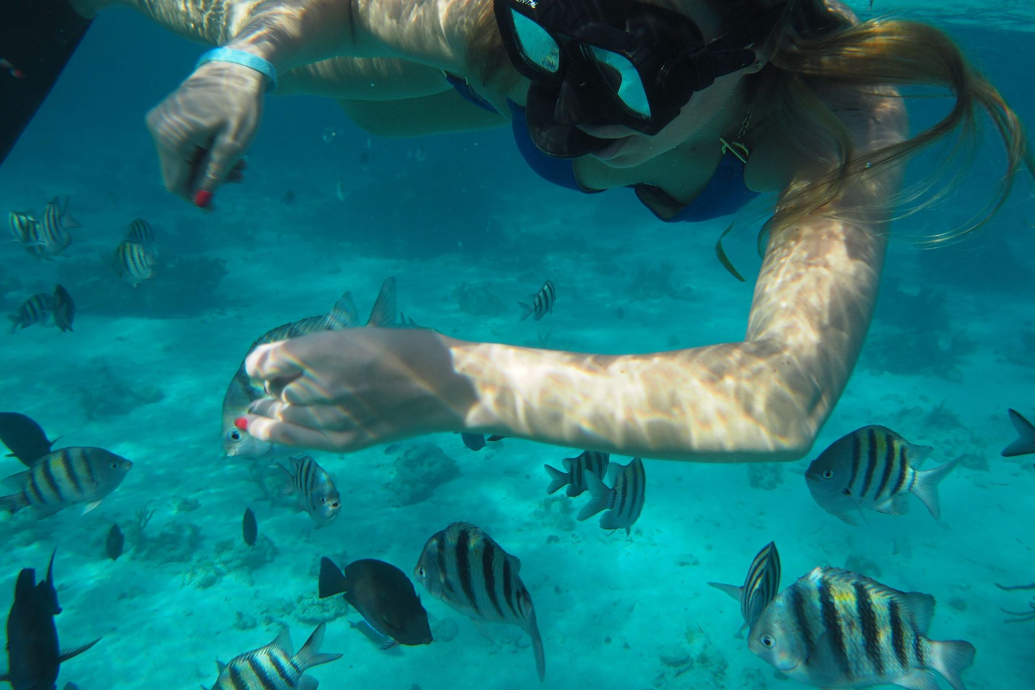 Tour #3: Beach Lunch, Stingray & Snorkel tour