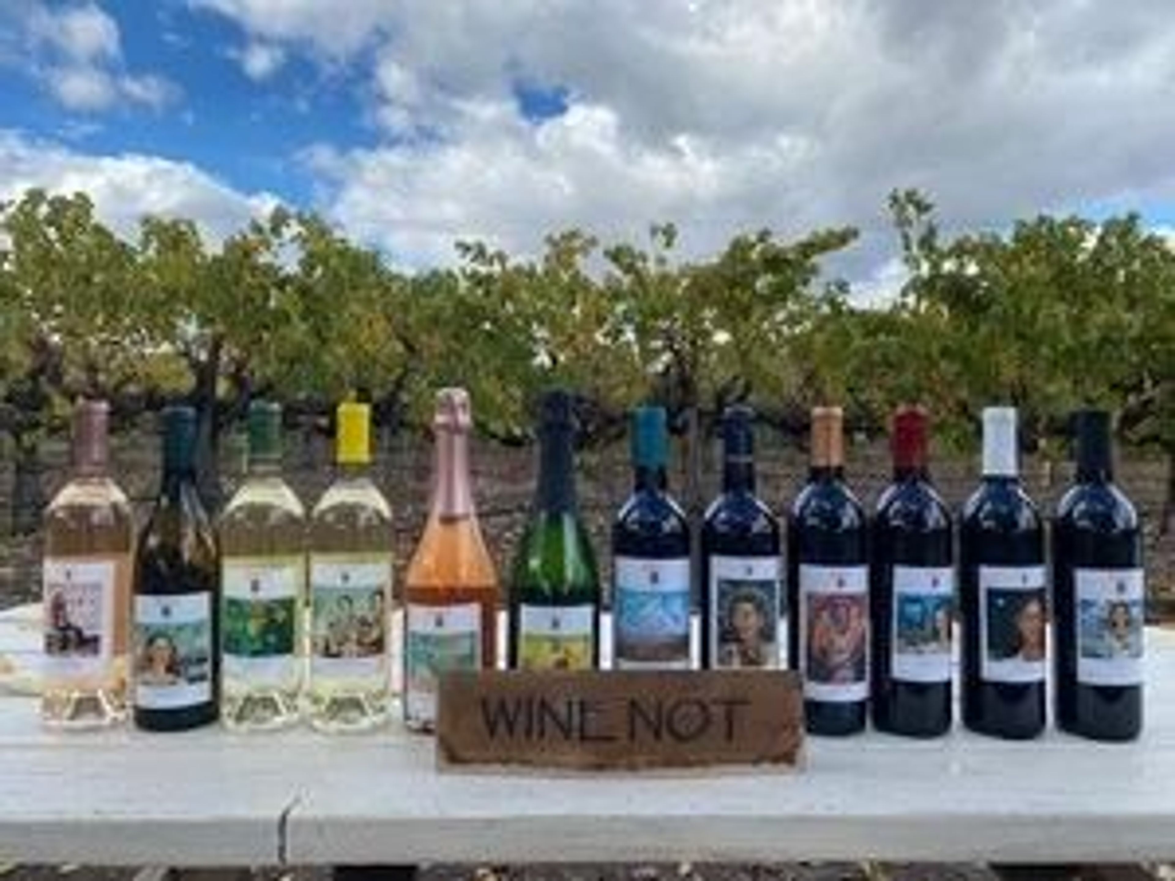 P & V Winery