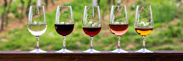 Curated Selection of Premium Wines