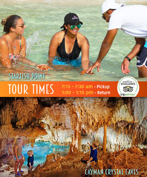 Tour #1: Stingrays and Starfish ( Caves on Fridays & Saturdays only) - Image 3