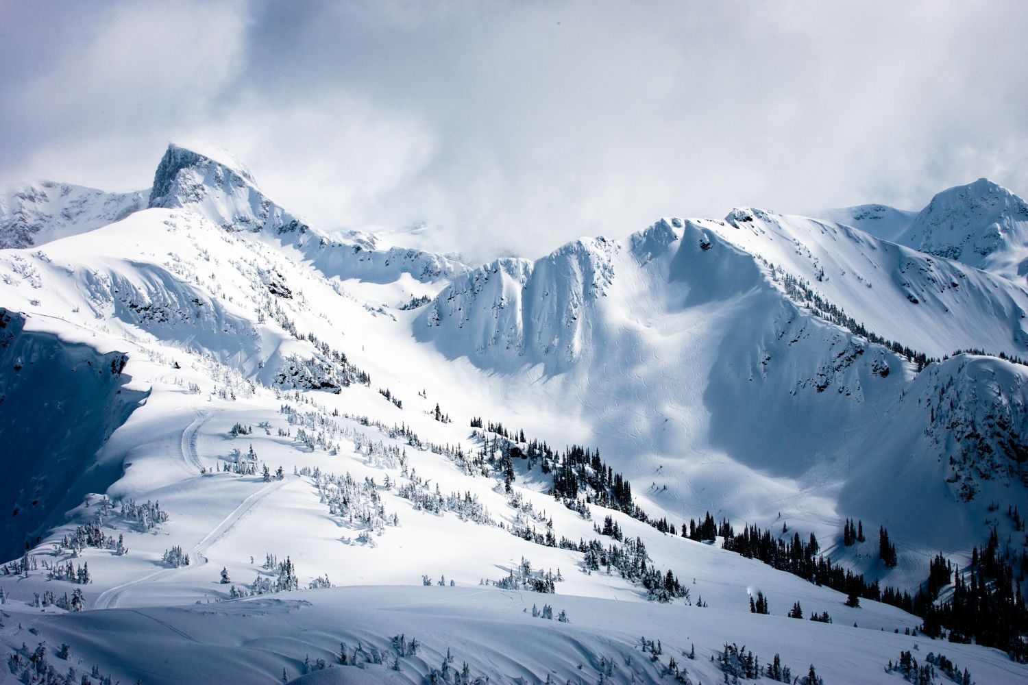 Snow in the mountains near Revelstoke, British Columbia .jpeg