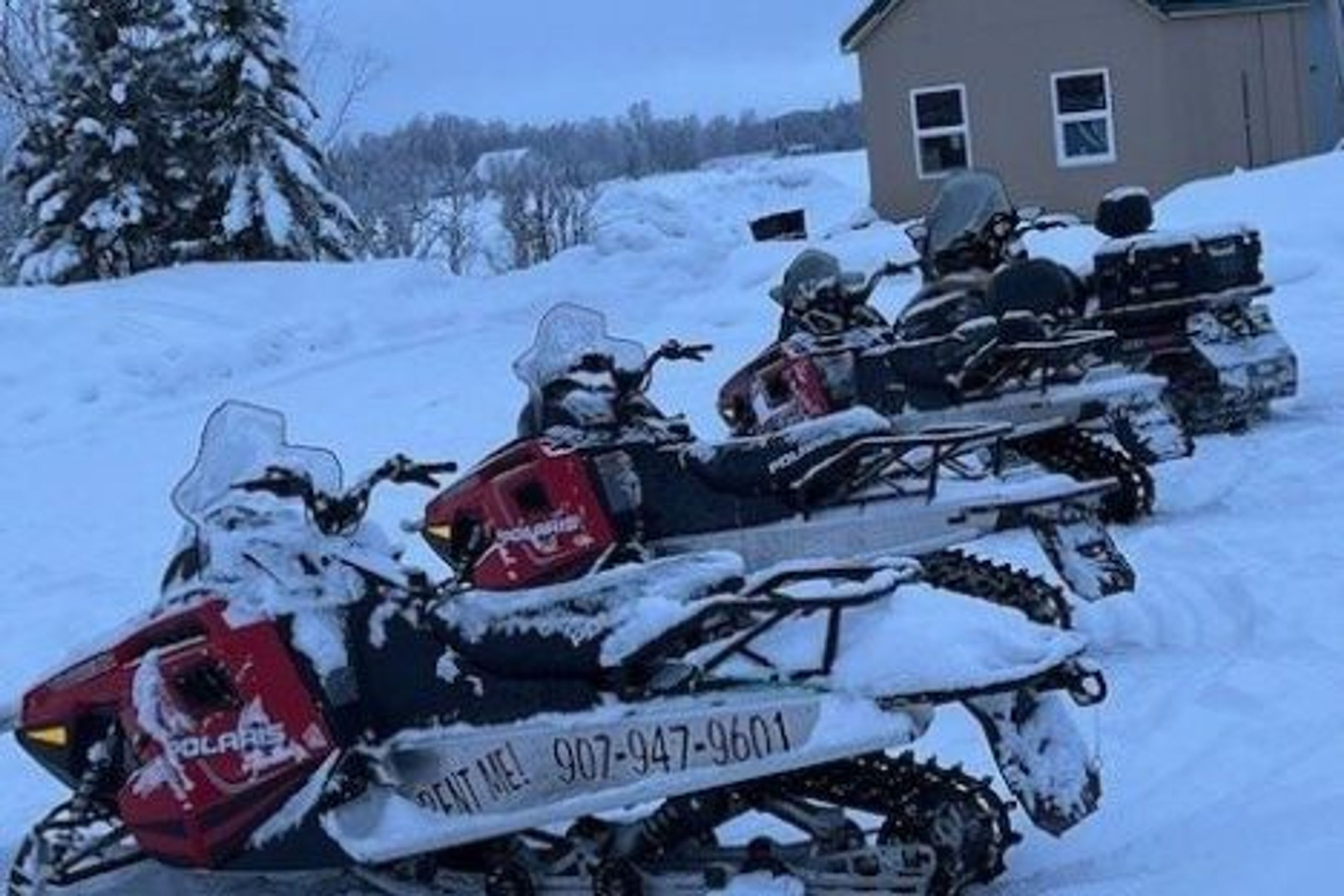 2023 Ski-Doo Expedition SE900 Snowmobile – 2 Seater - Image 4
