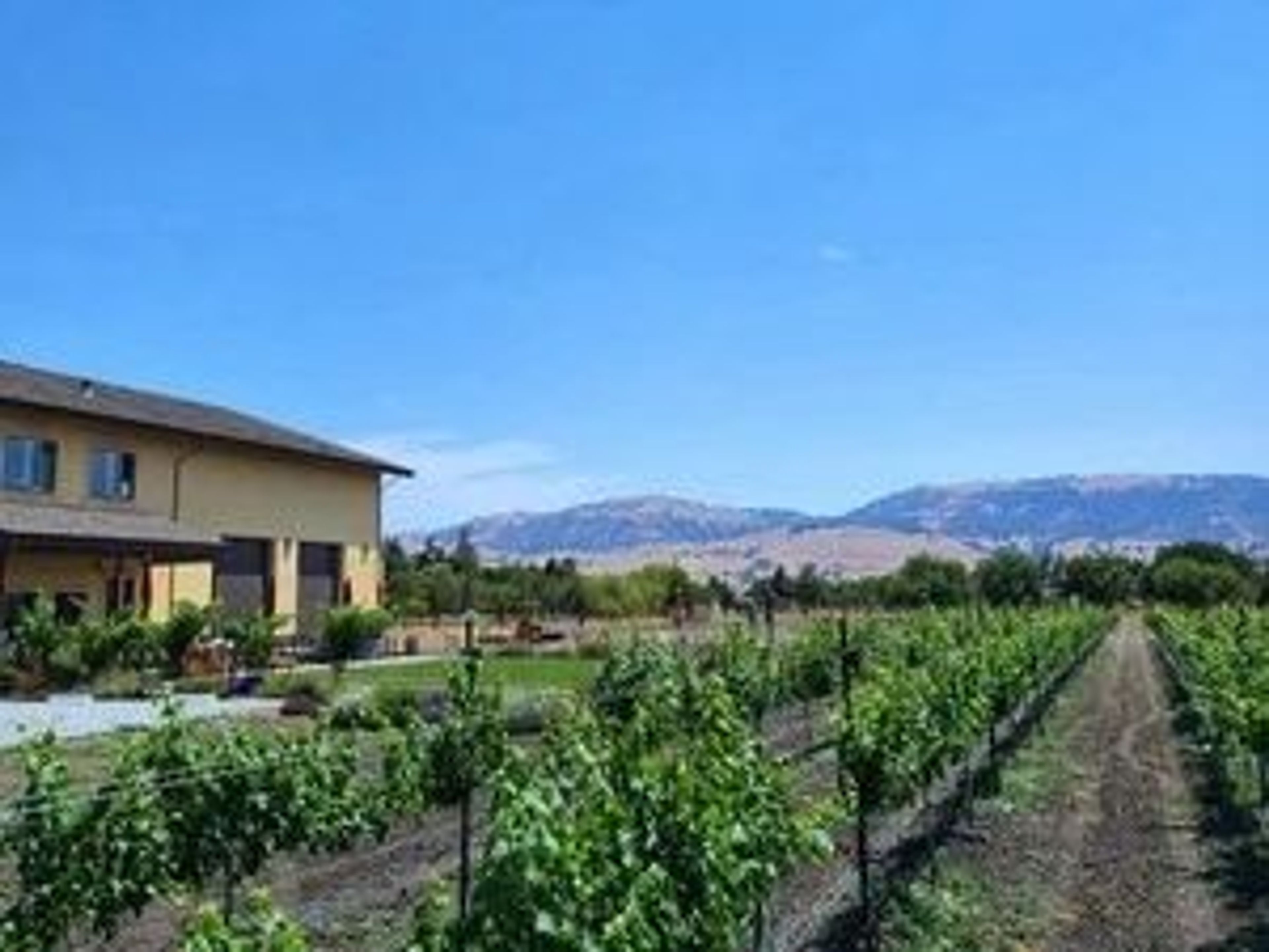 Tank House Winery