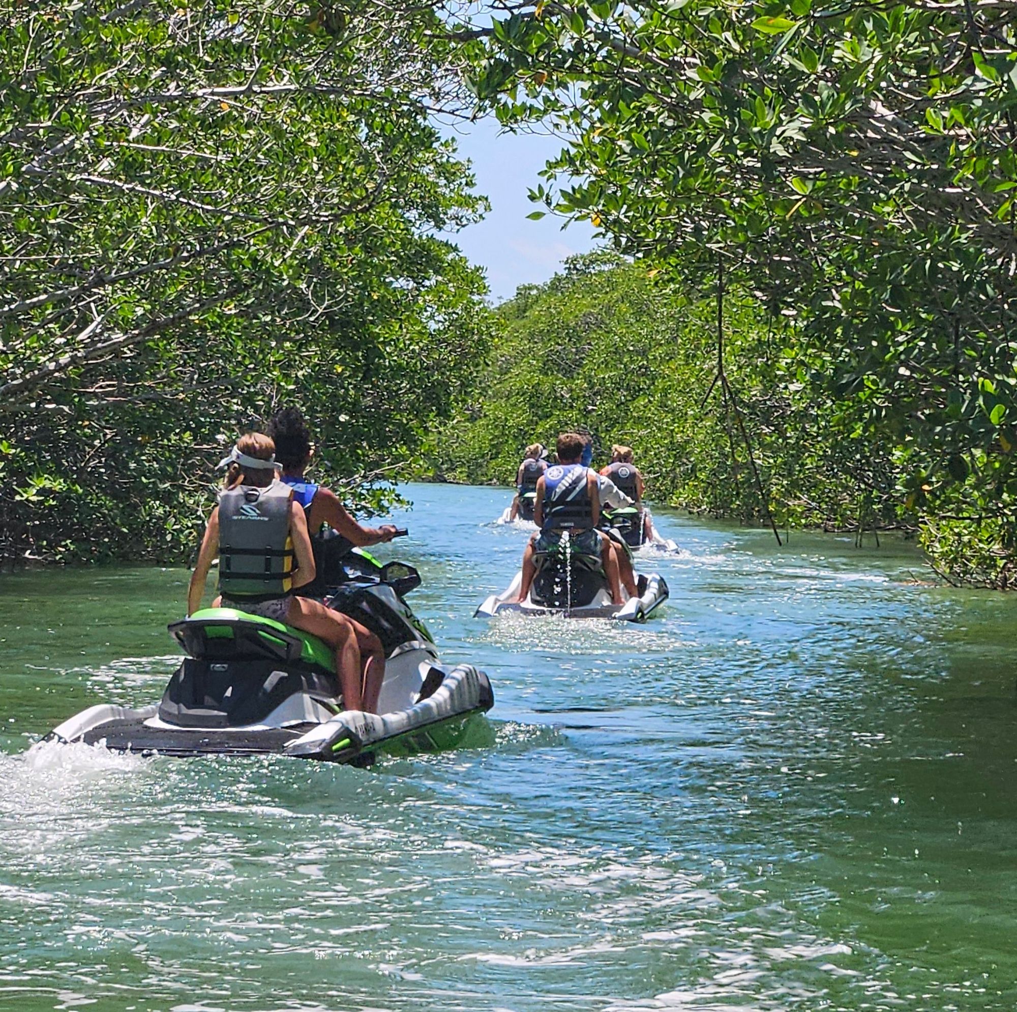 Tavernier Mangrove Jetski Tour