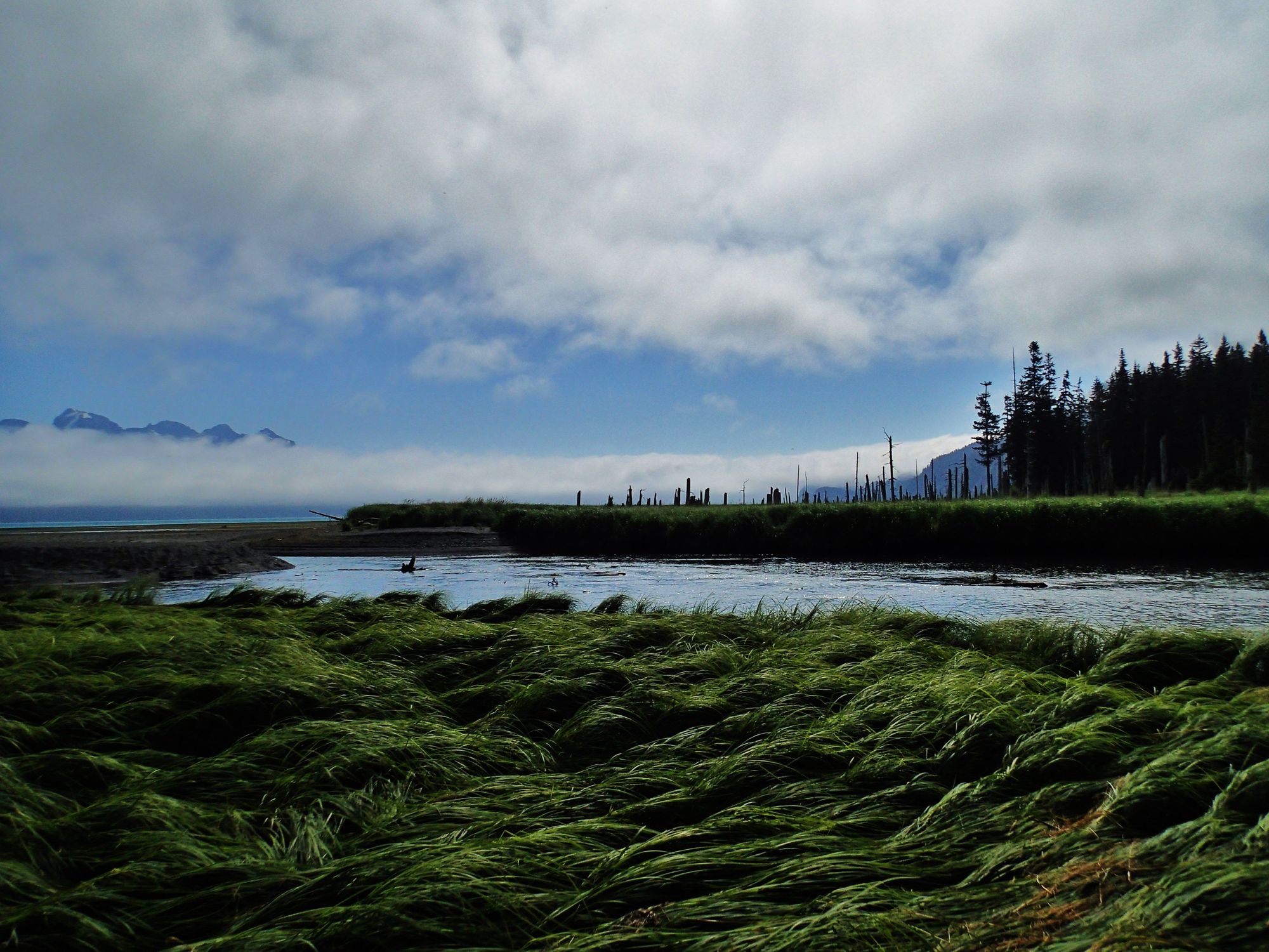 Tonsina Point Res Bay Hike