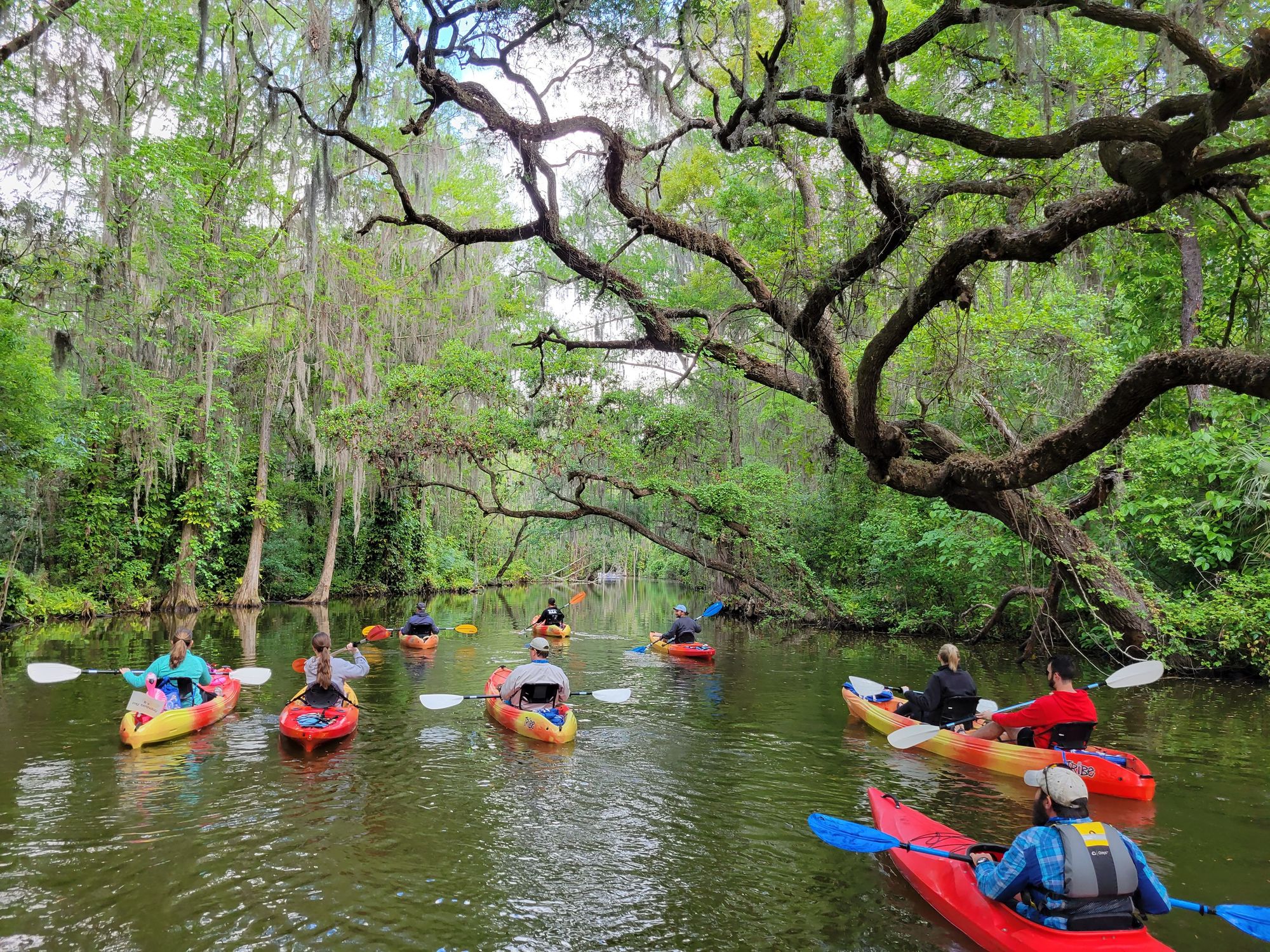 Kayak Tour in the Dora Canal