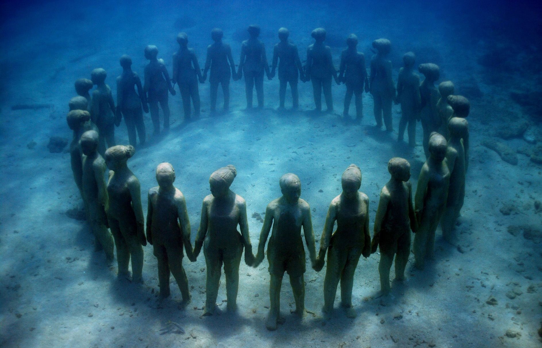 Private Afternoon Snorkeling Trip - Image 4
