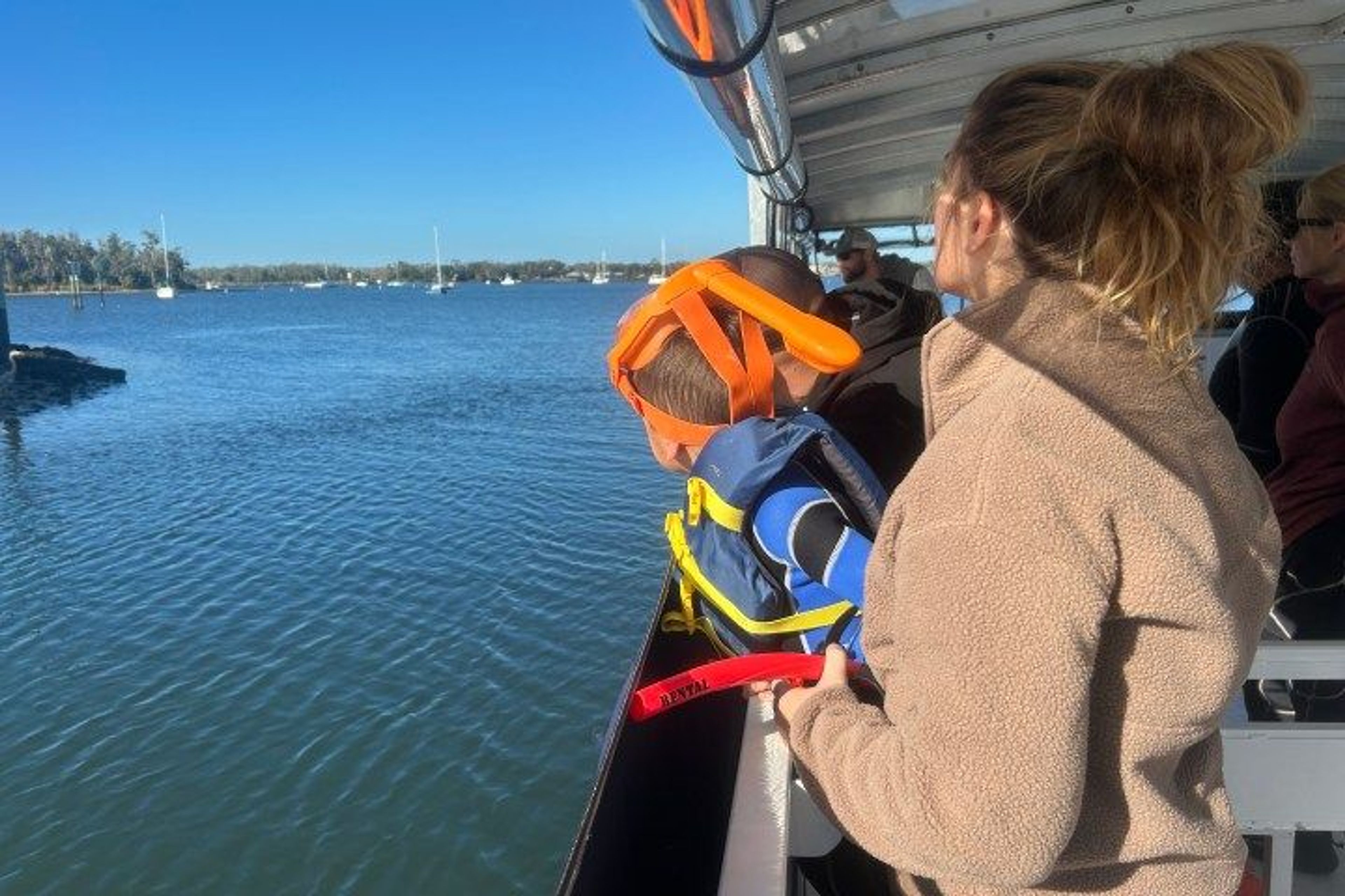 Afternoon Manatee Boat Tour - Image 2