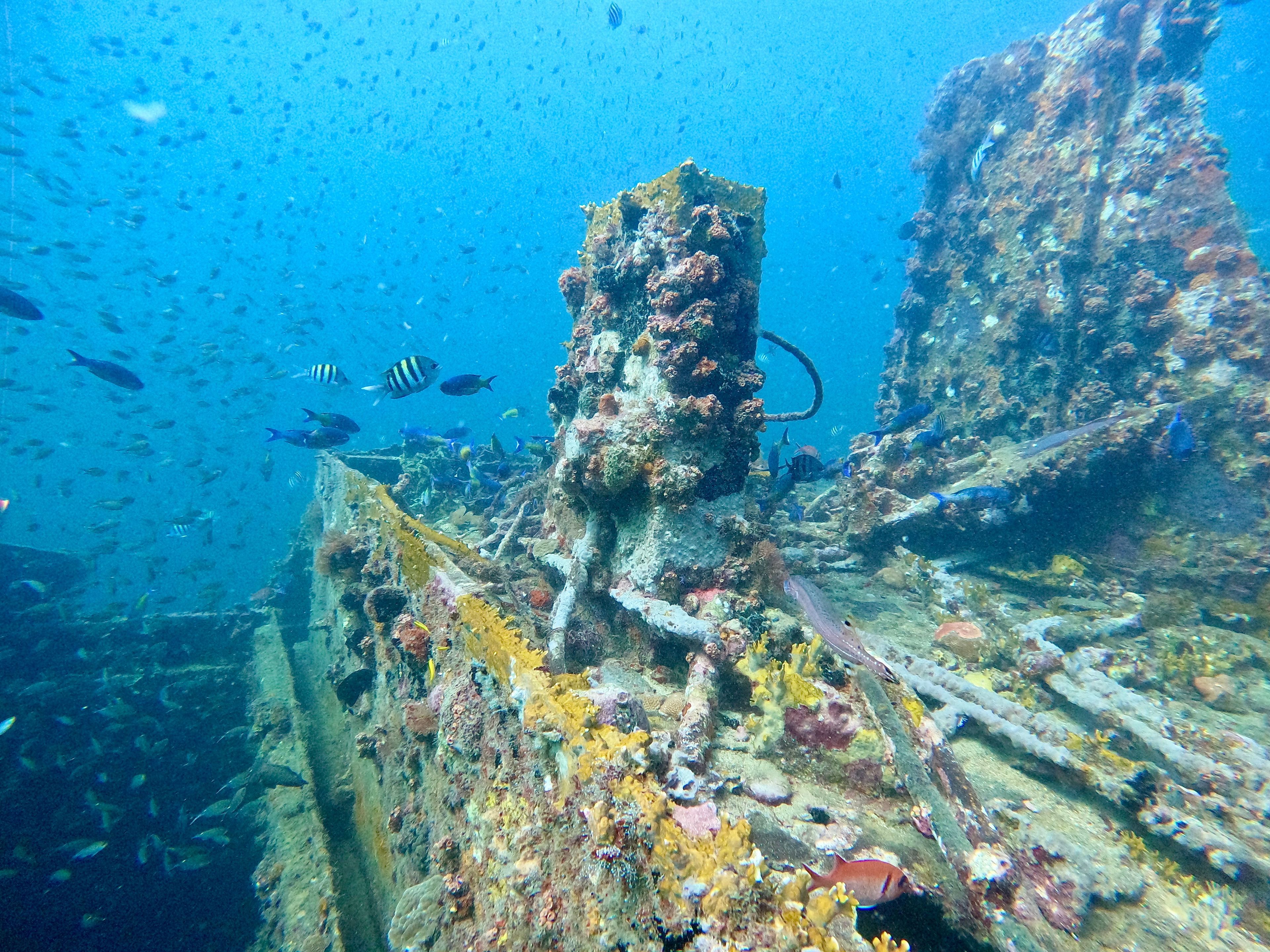 Discover the beauty of Grenada's underwater world