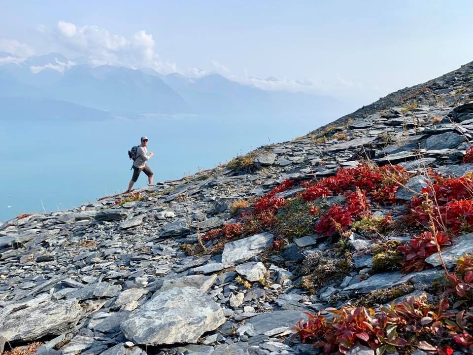 View of Res Bay from Mount Marathon