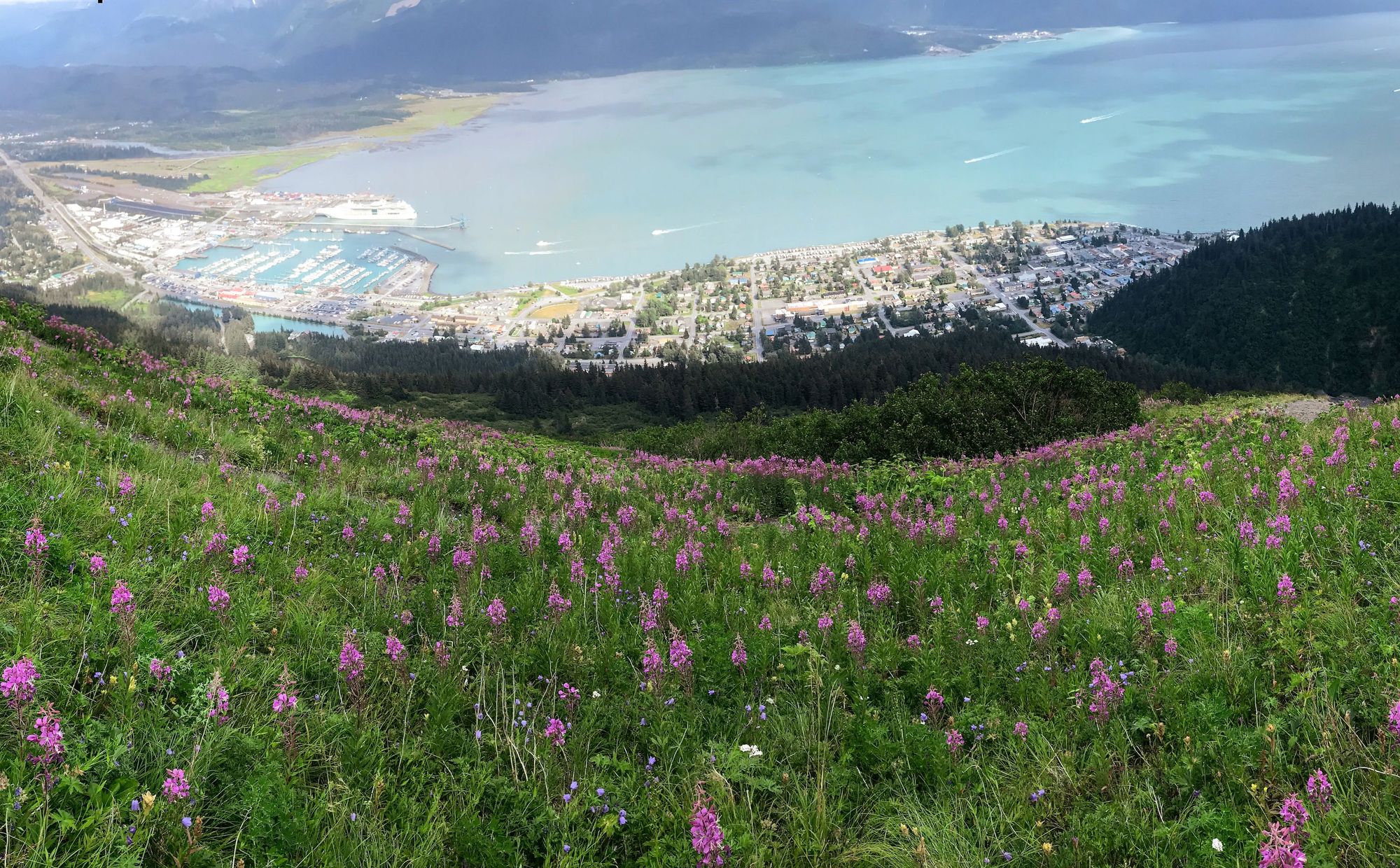 View of Seward from Mount Marathon Bowl