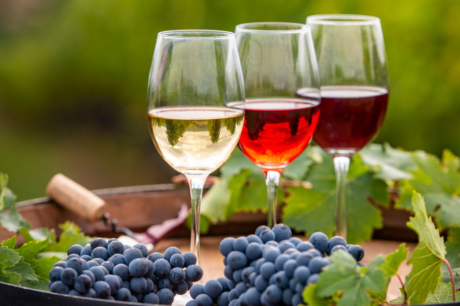 Wine Tasting at Three Wineries