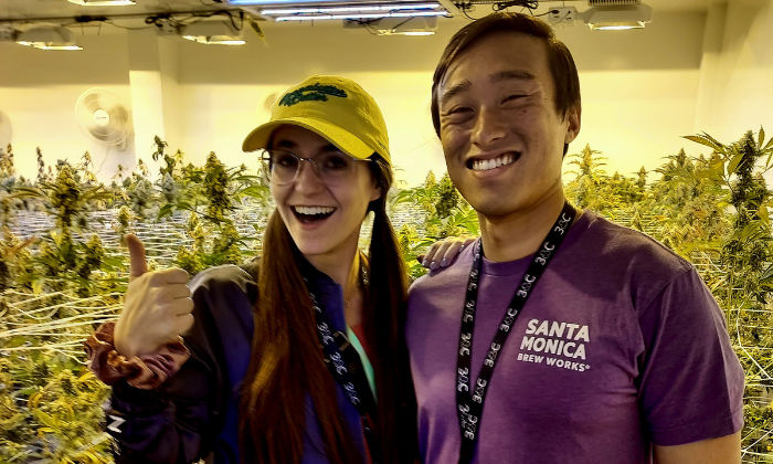 Cannabis Grow Tour