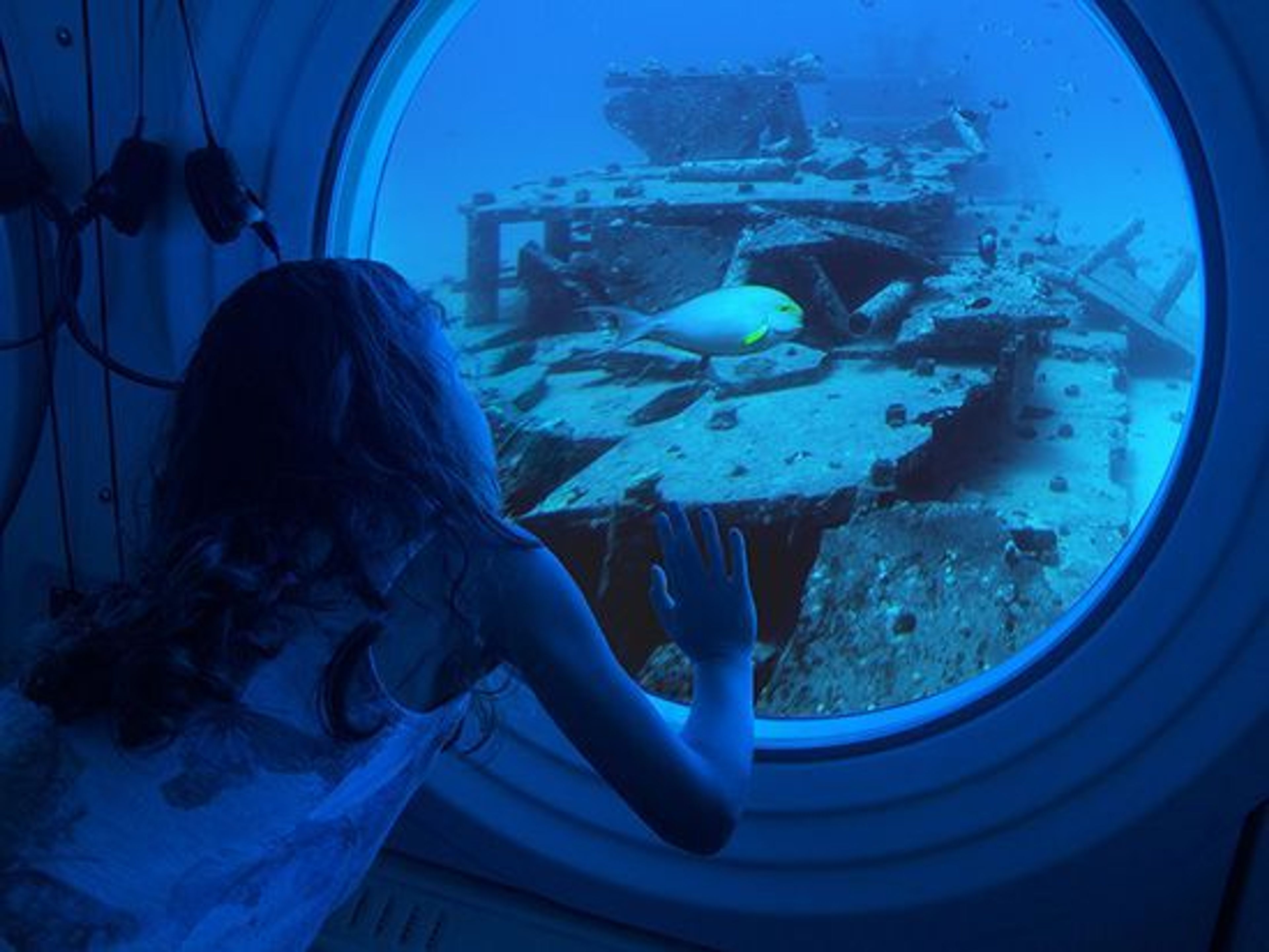Atlantis Submarines Day Tour - Image 2