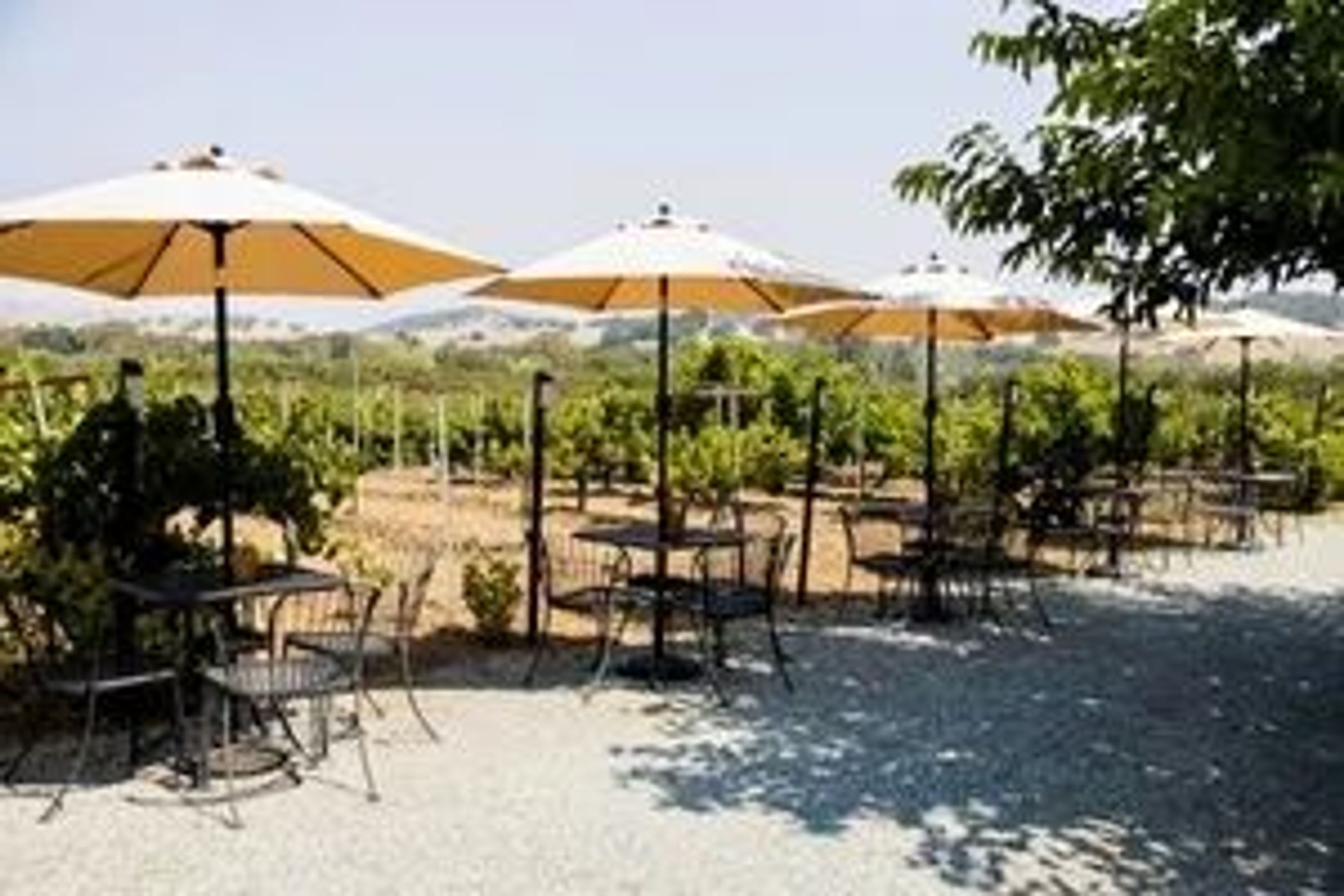 Besson Family Vineyards