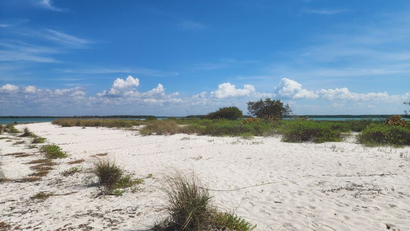 Shoreline of Everglades National Park during a multi-day kayak expedition