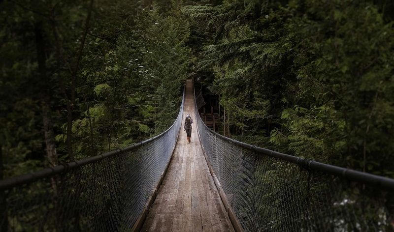 Crazy Creek Resort Bridge