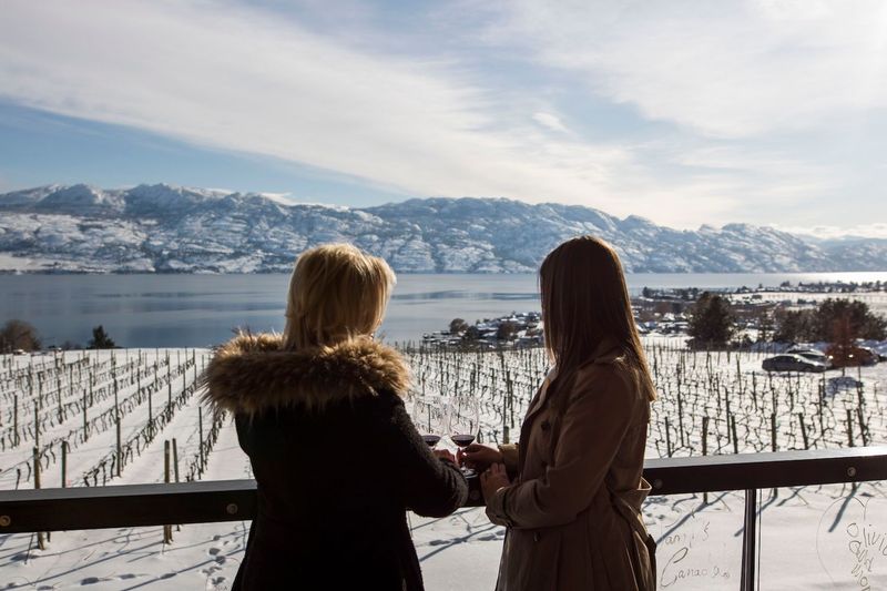 Winter wine tours looking out over the vineyard
