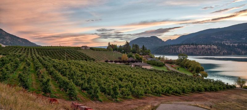Lake Country Wine Tour 