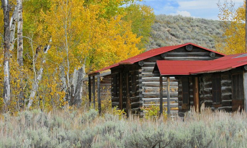 Bruce Spruce cabin set in the aspen trees, a great place to stay in Pagosa Springs