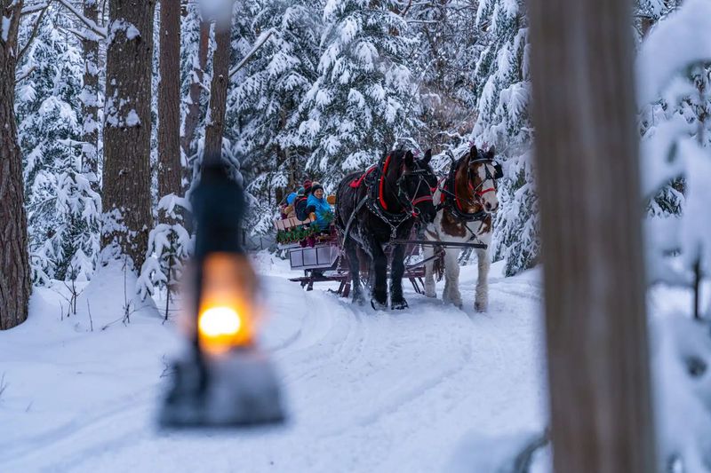 Sleigh Ride Big White