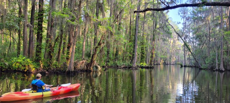 Kayaking in the Dora Canal